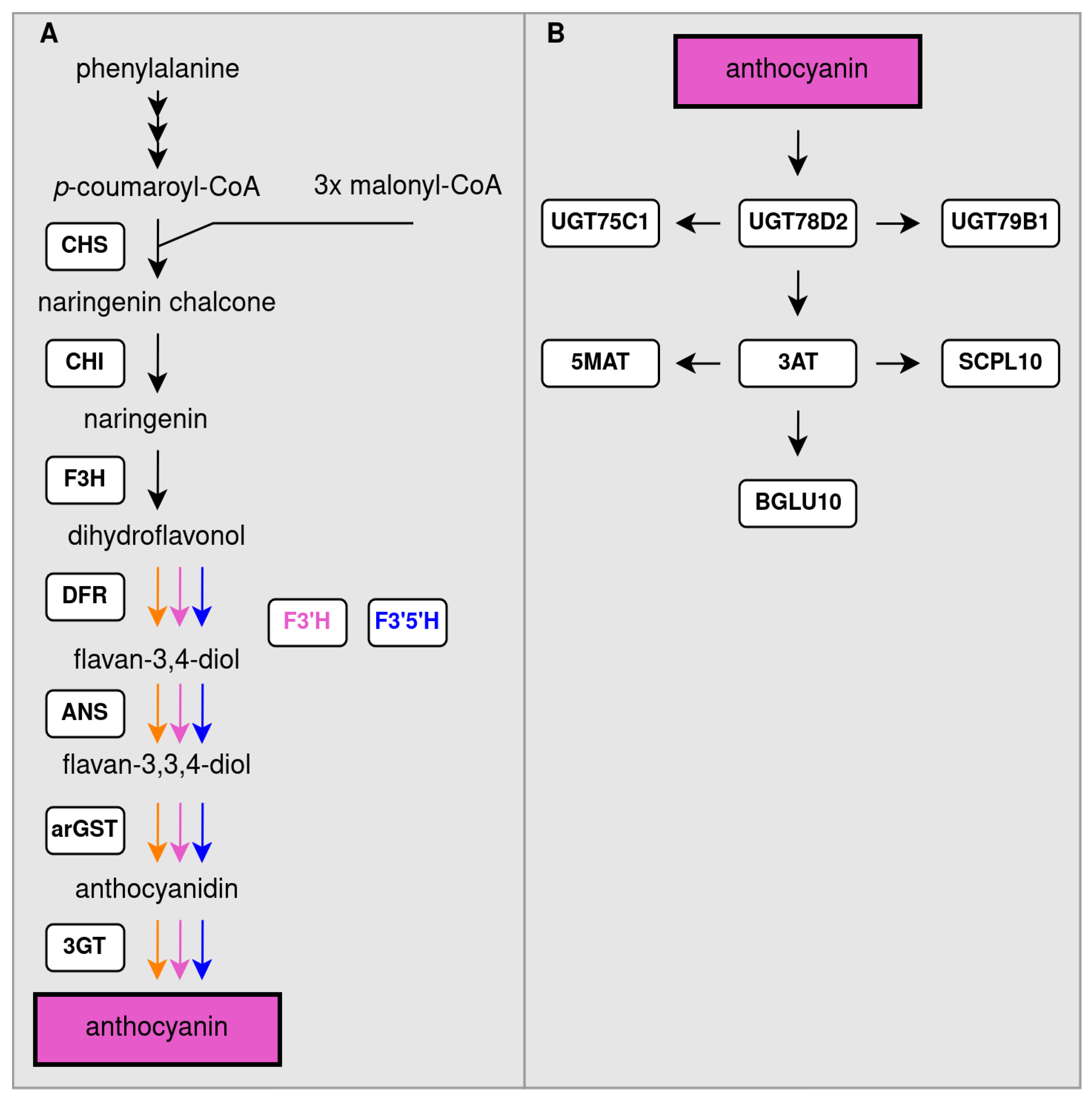 Preprints 116710 g002