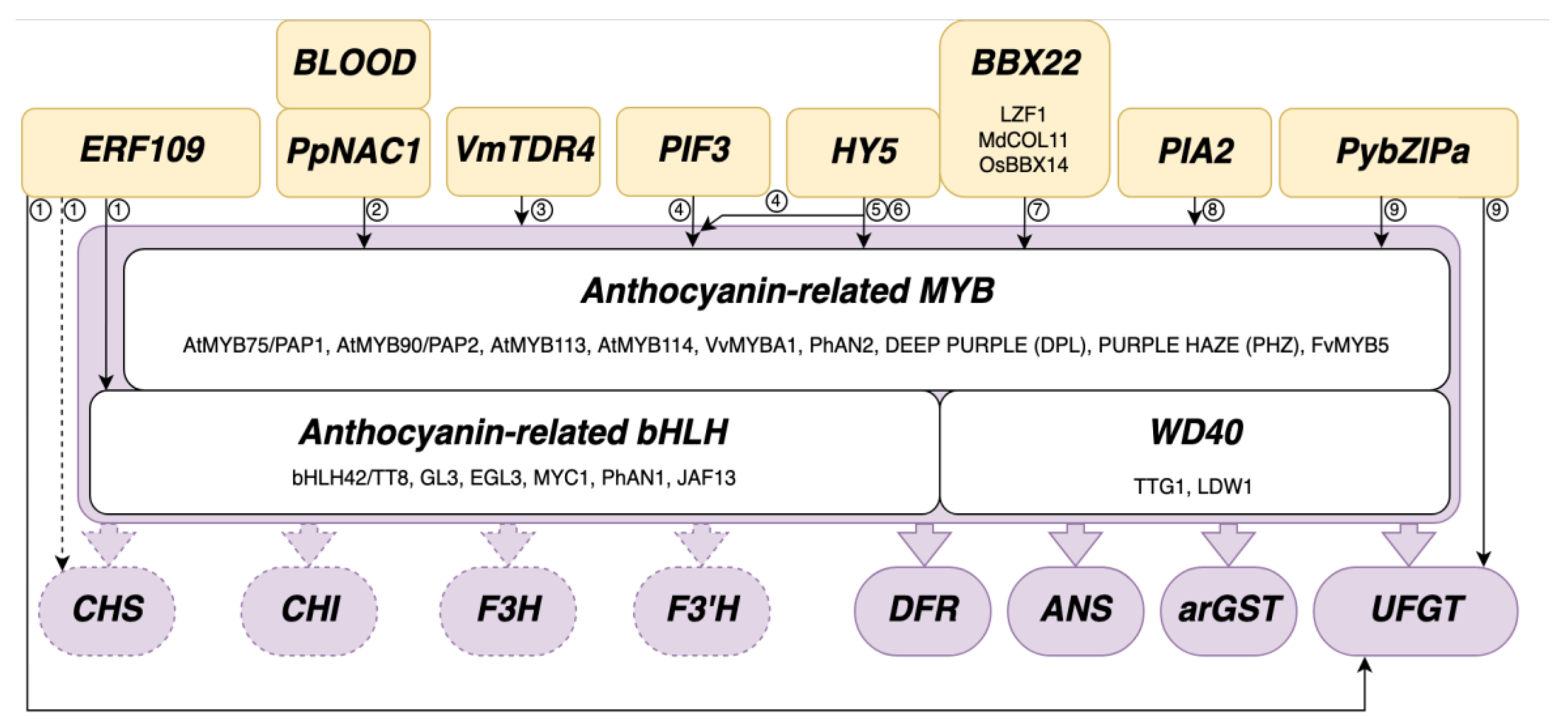 Preprints 116710 g003