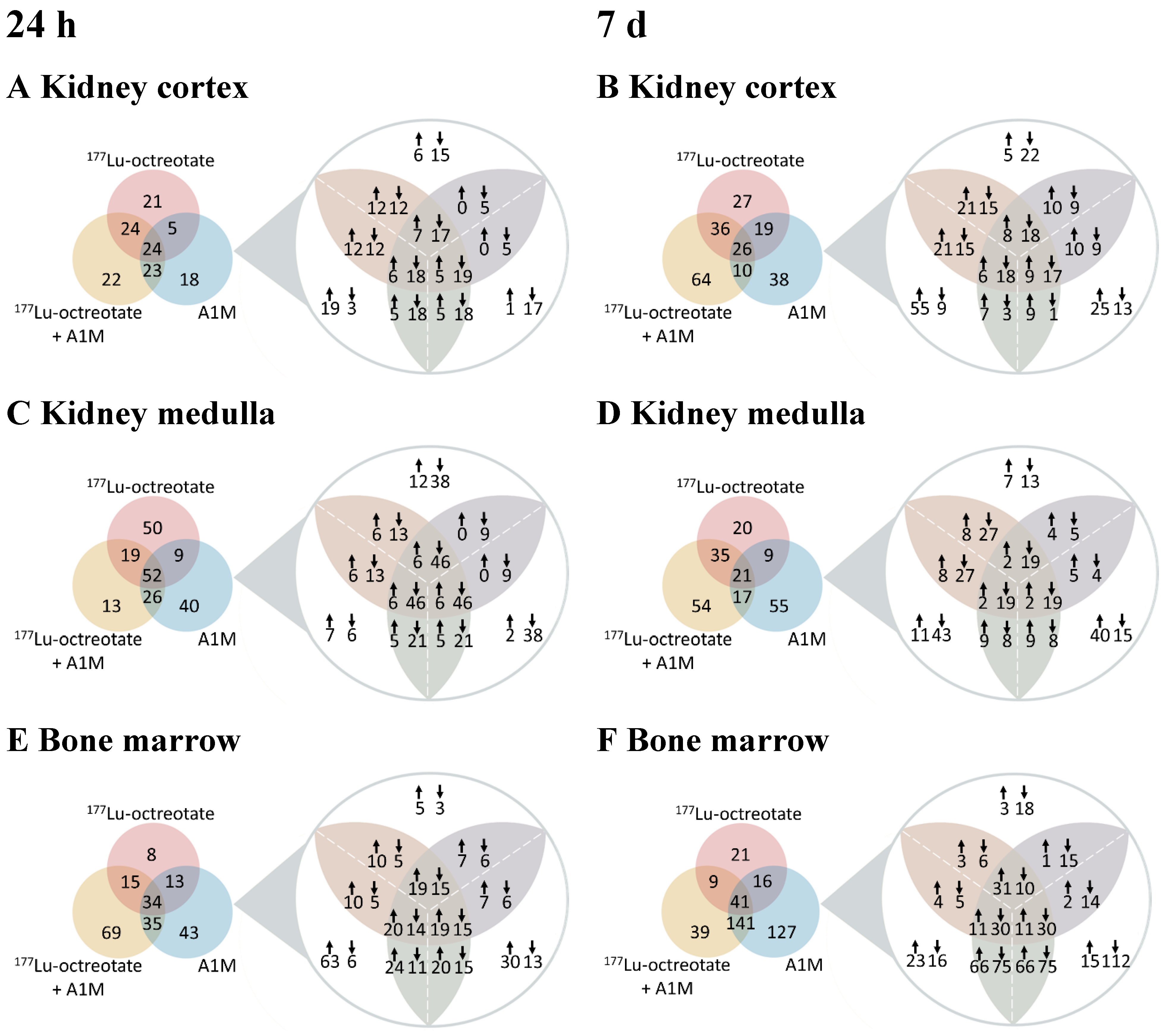 Preprints 101030 g001