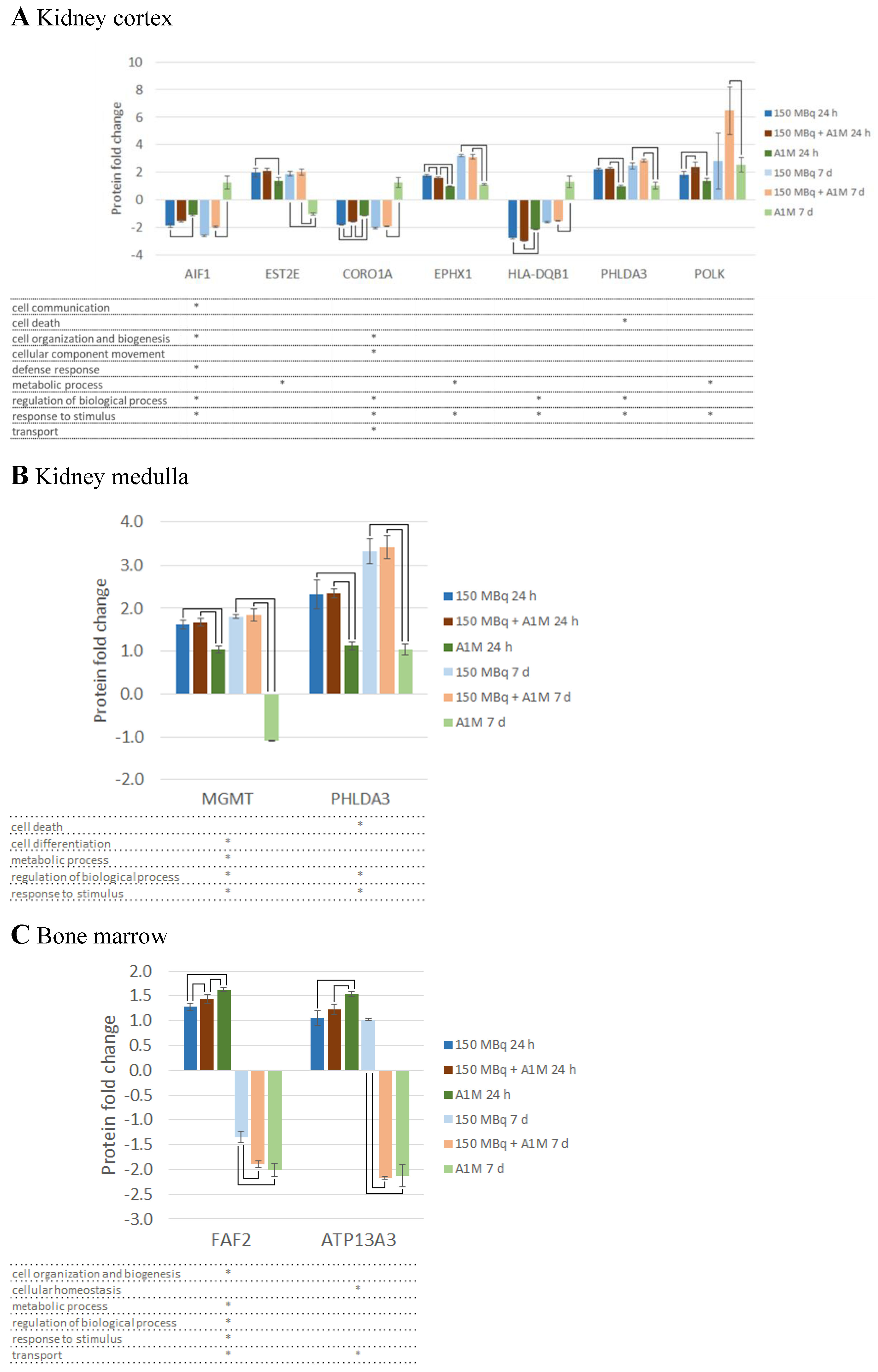 Preprints 101030 g002