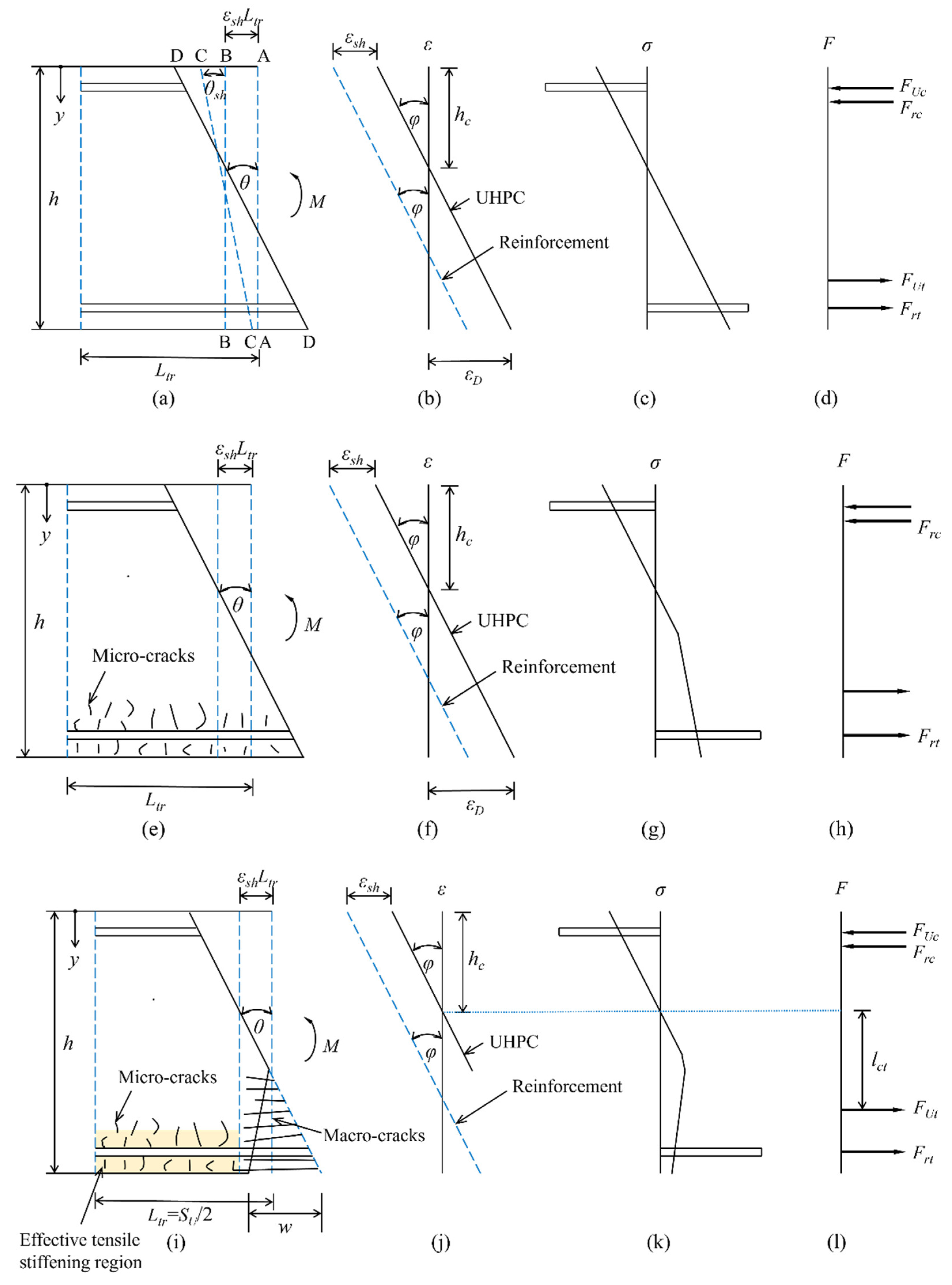 Preprints 142659 g006