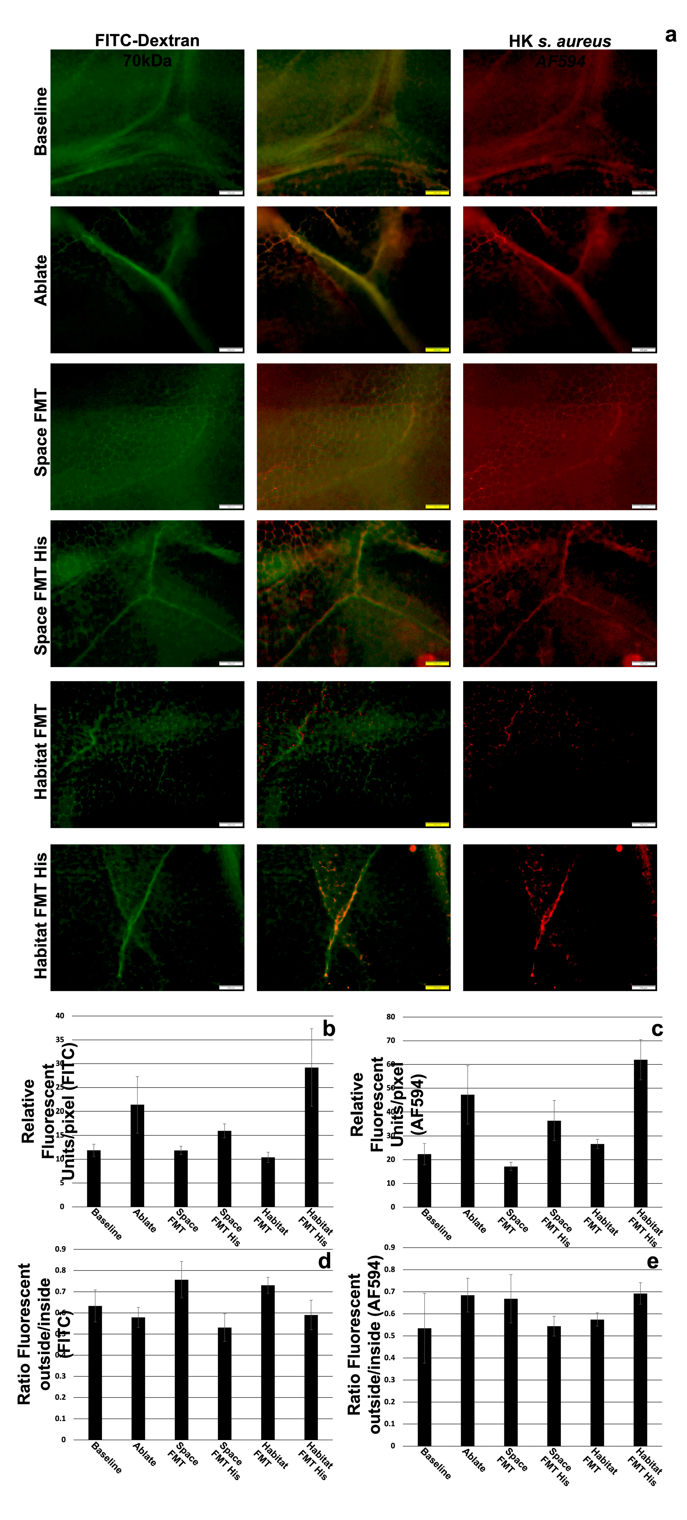 Preprints 80305 g004