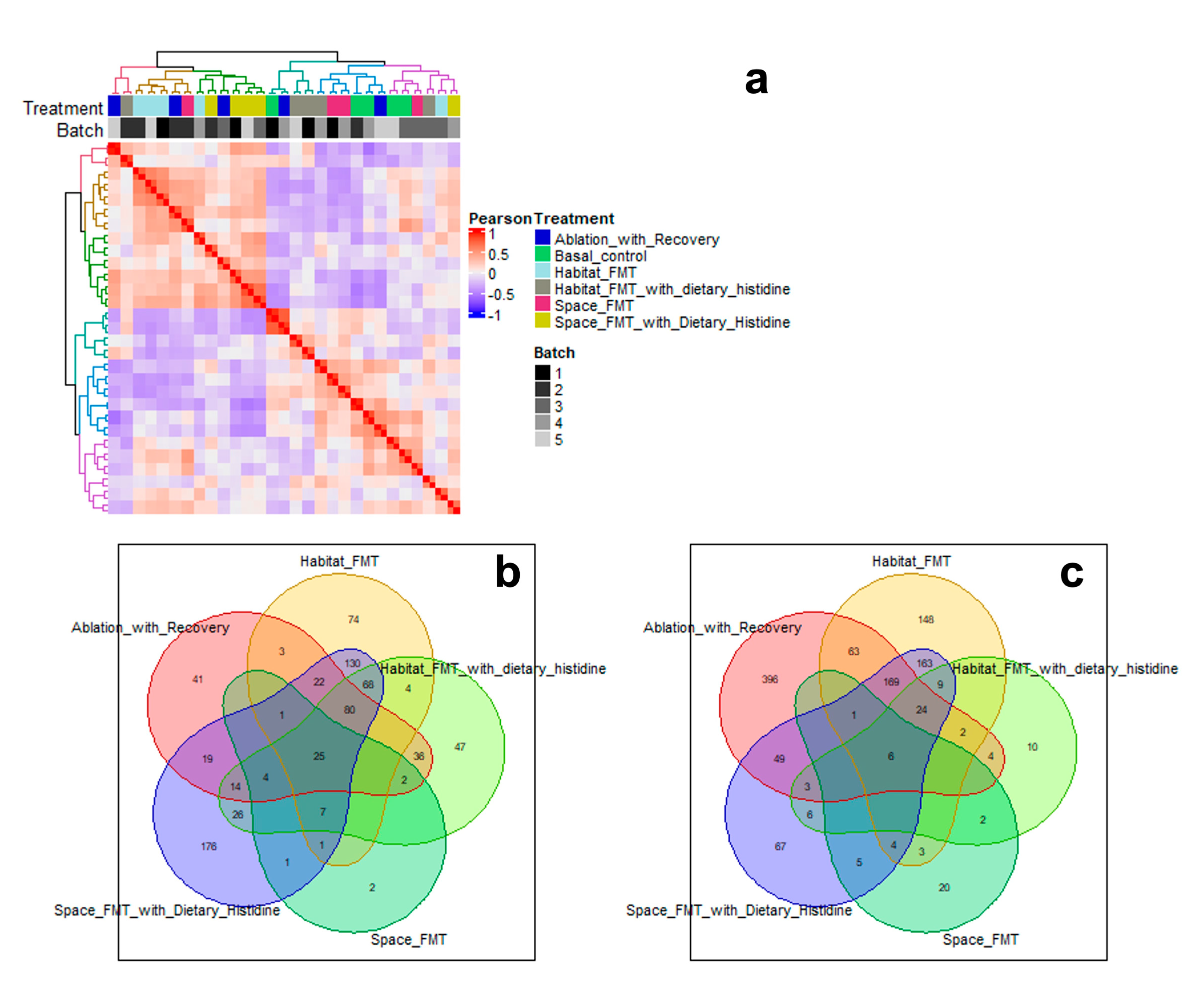 Preprints 80305 g006