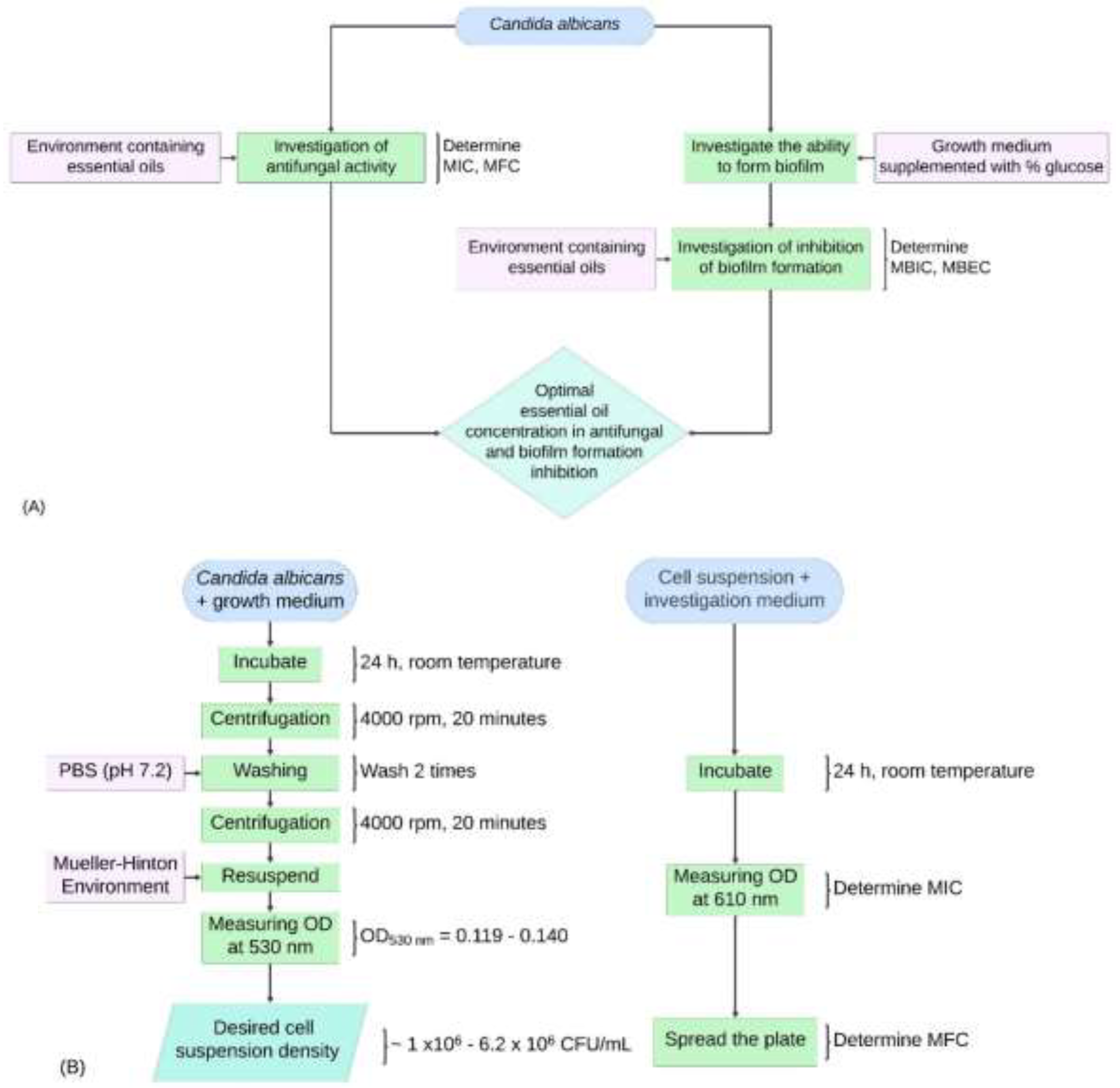 Preprints 132083 g001a