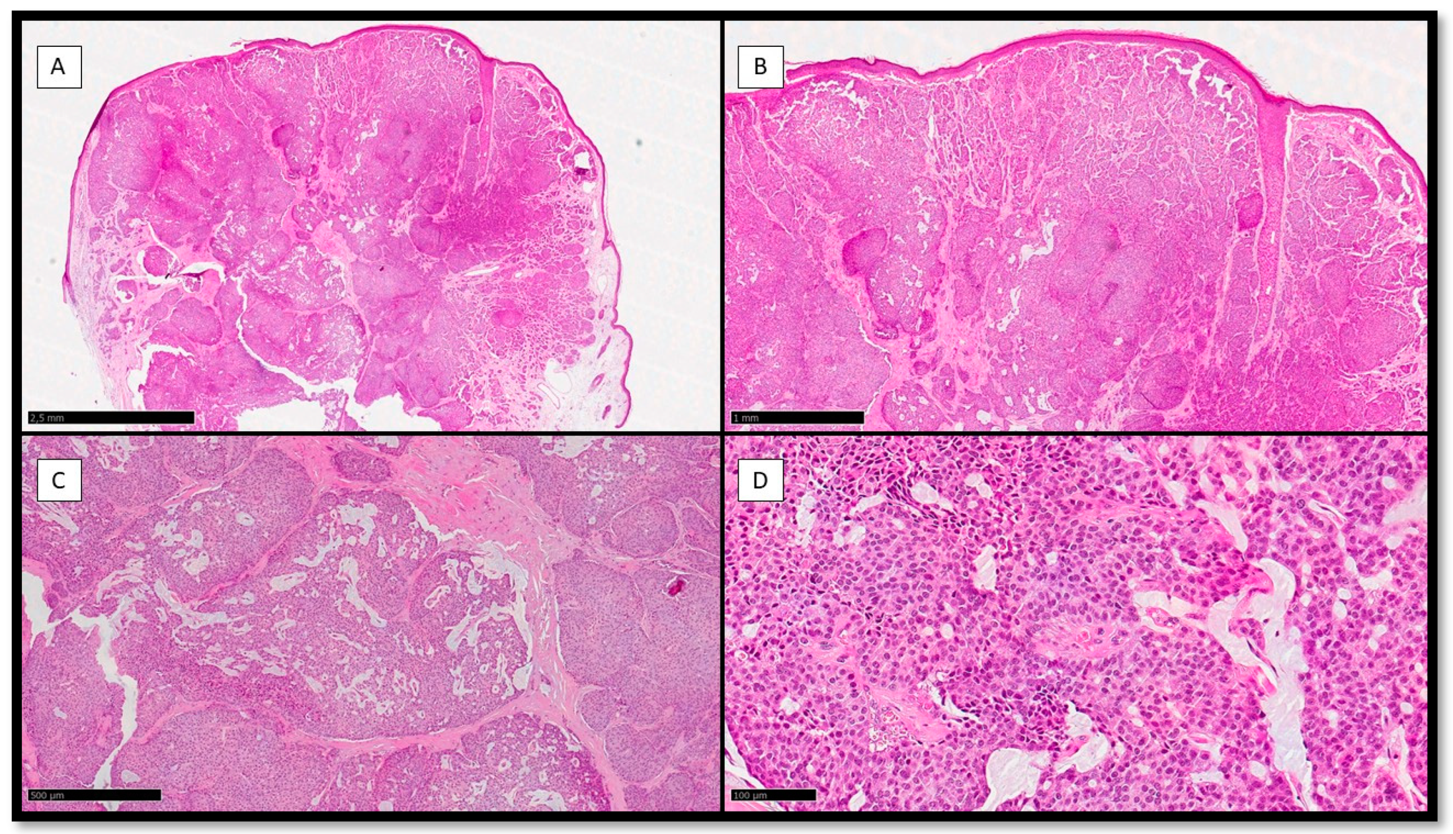 Preprints 81540 g001