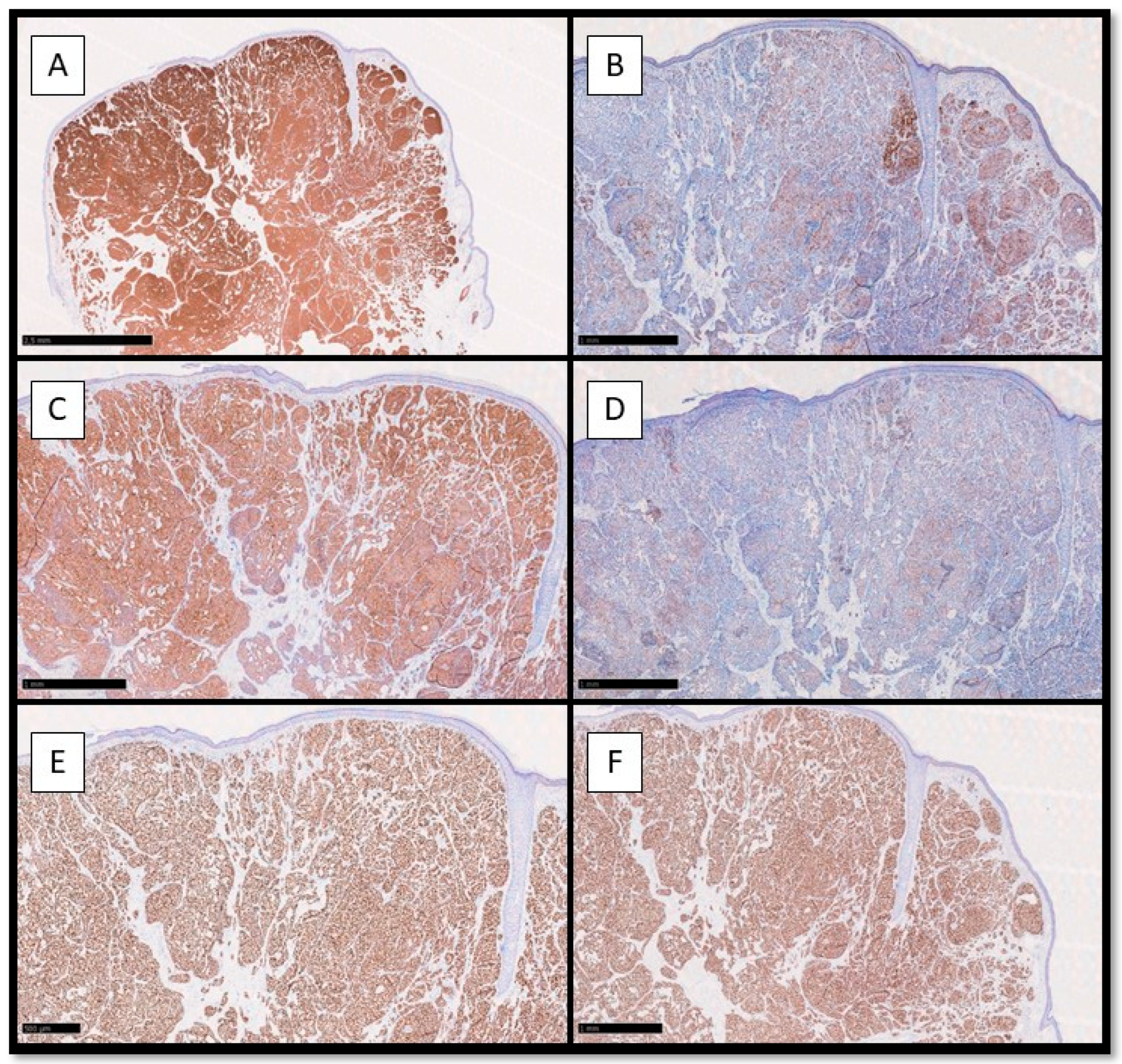 Preprints 81540 g002