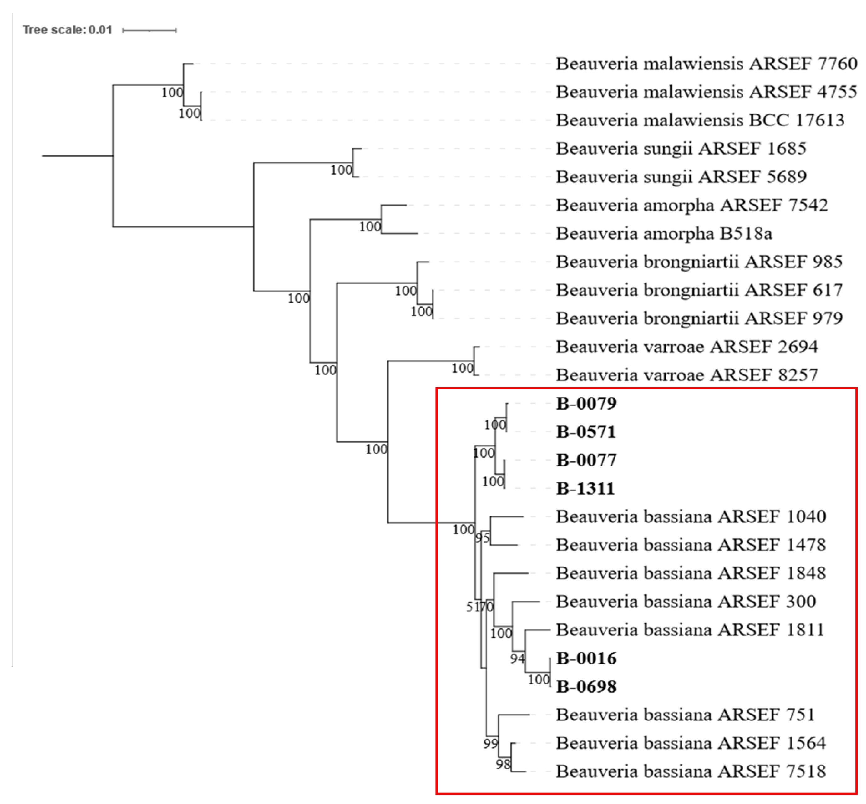 Preprints 141008 g001