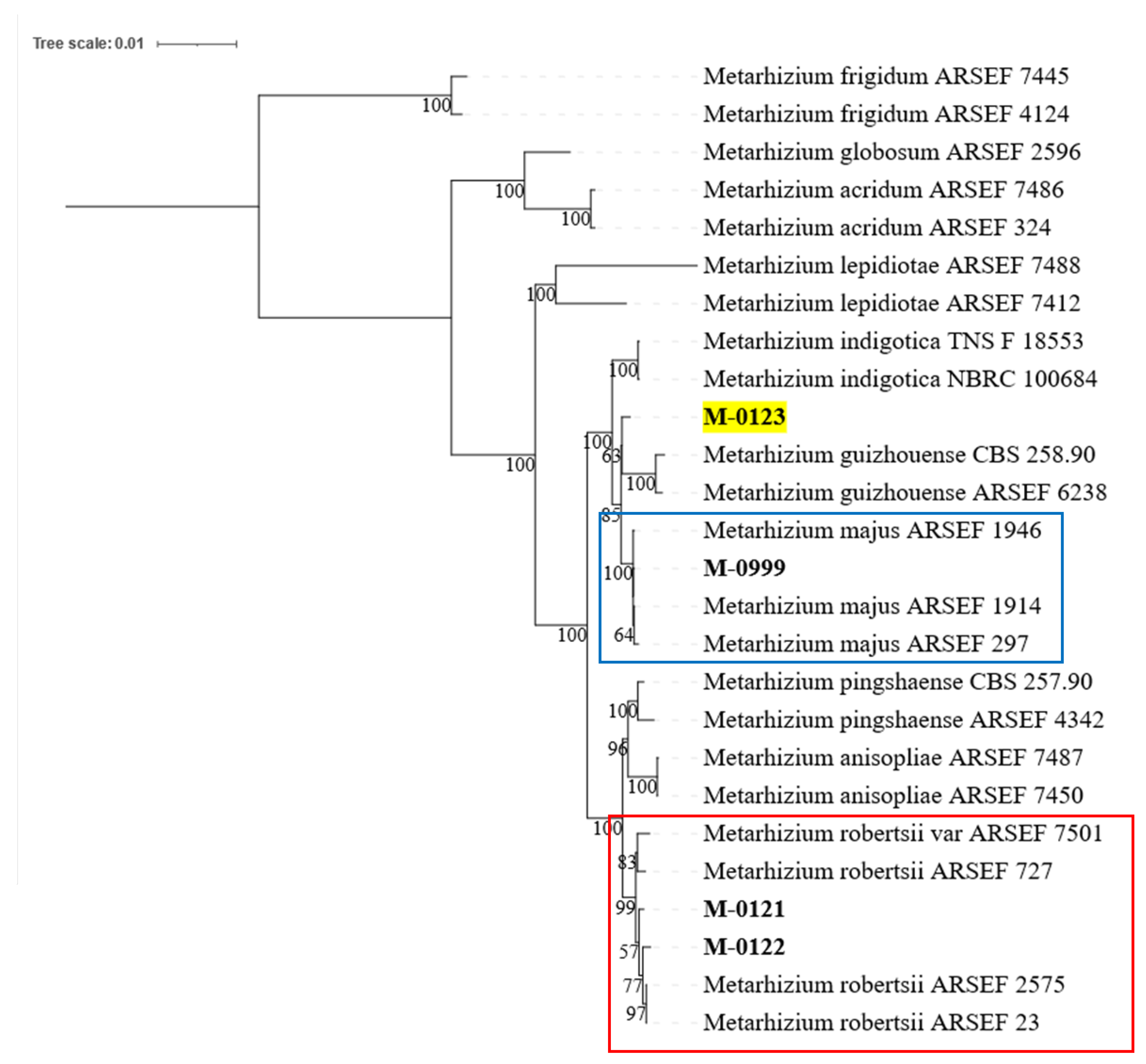 Preprints 141008 g002