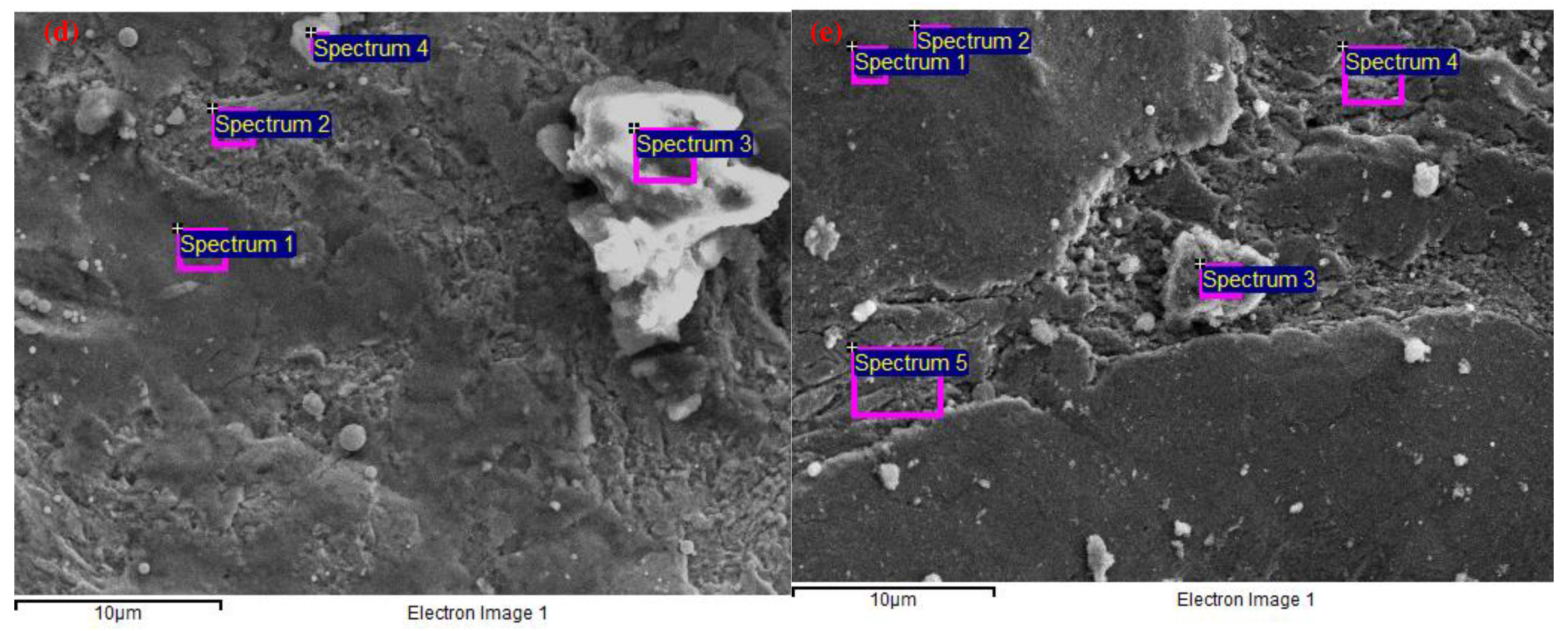 Preprints 88522 g006b