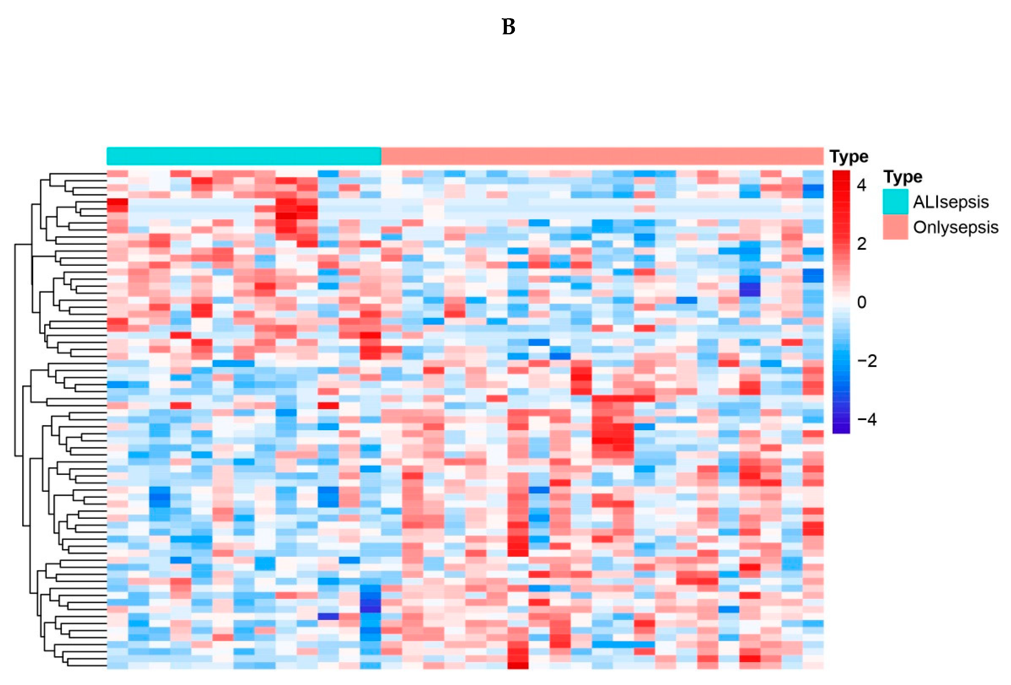 Preprints 80170 g001b