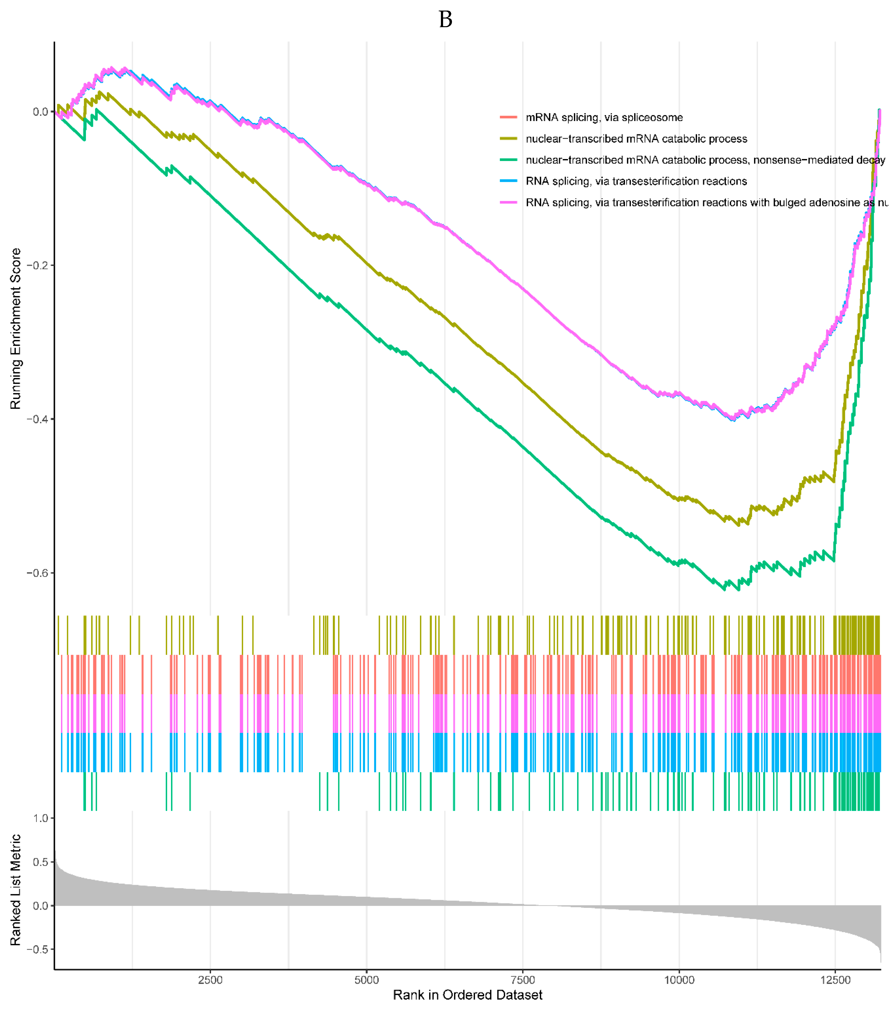 Preprints 80170 g006b