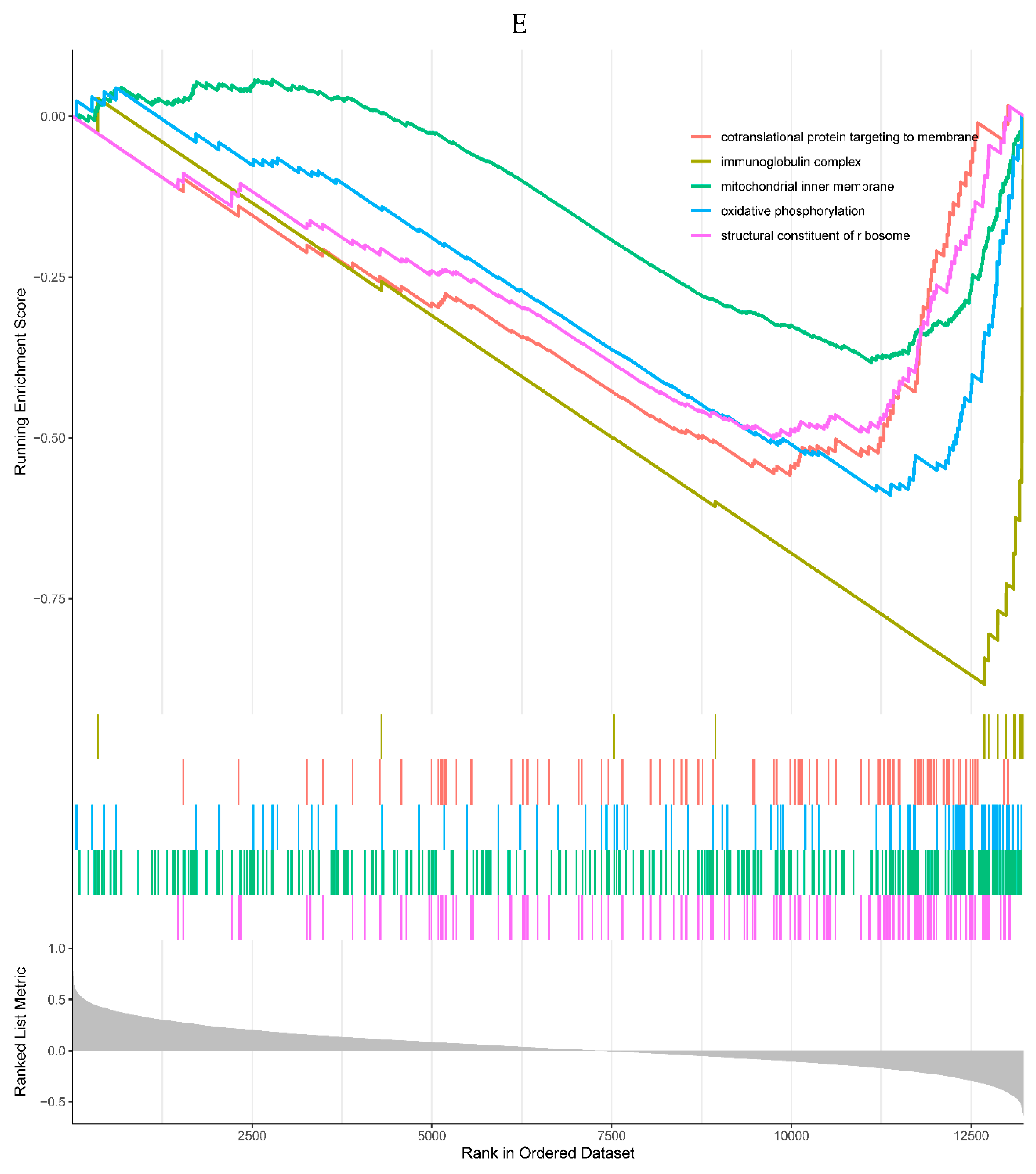 Preprints 80170 g006e