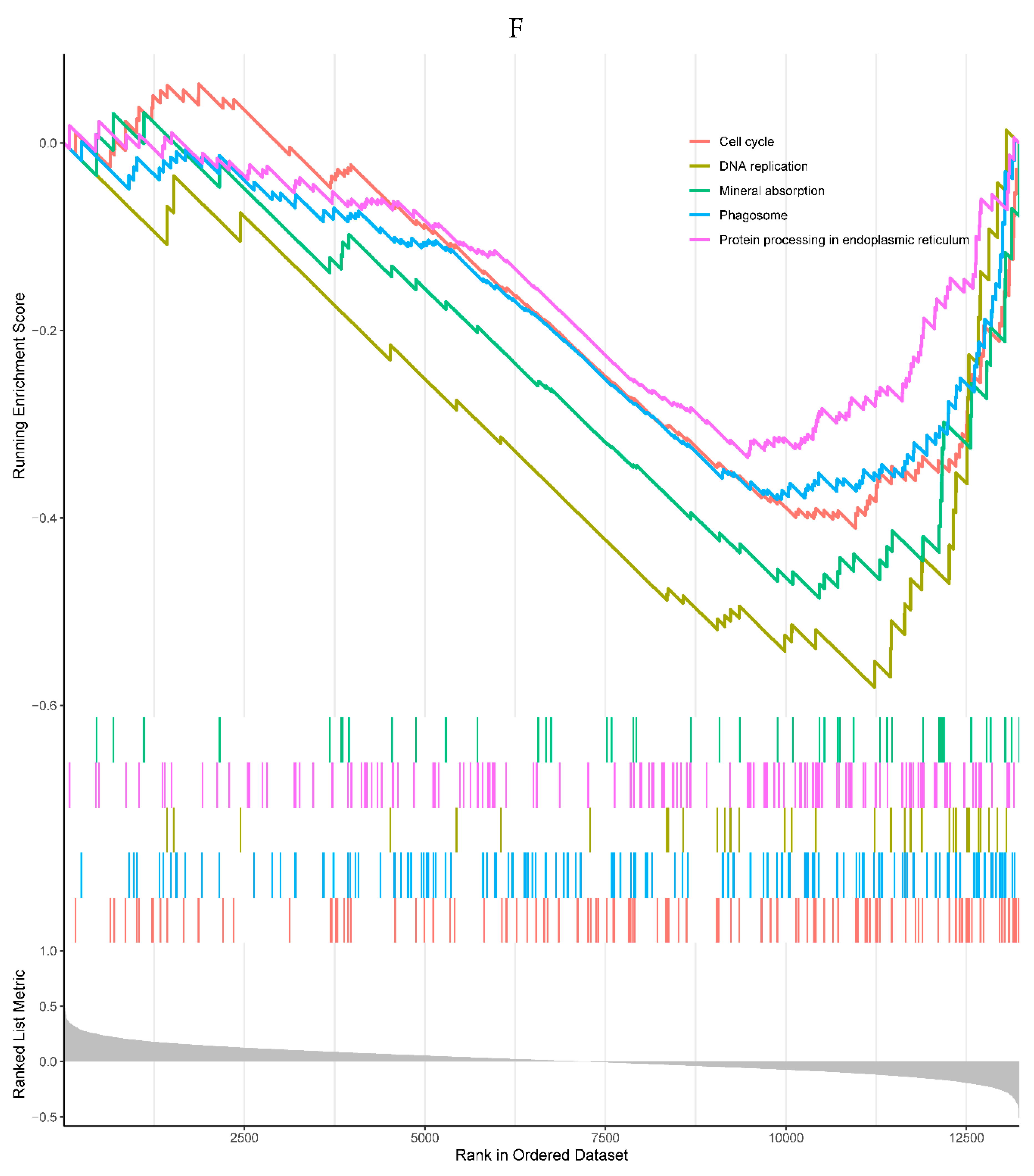 Preprints 80170 g006f