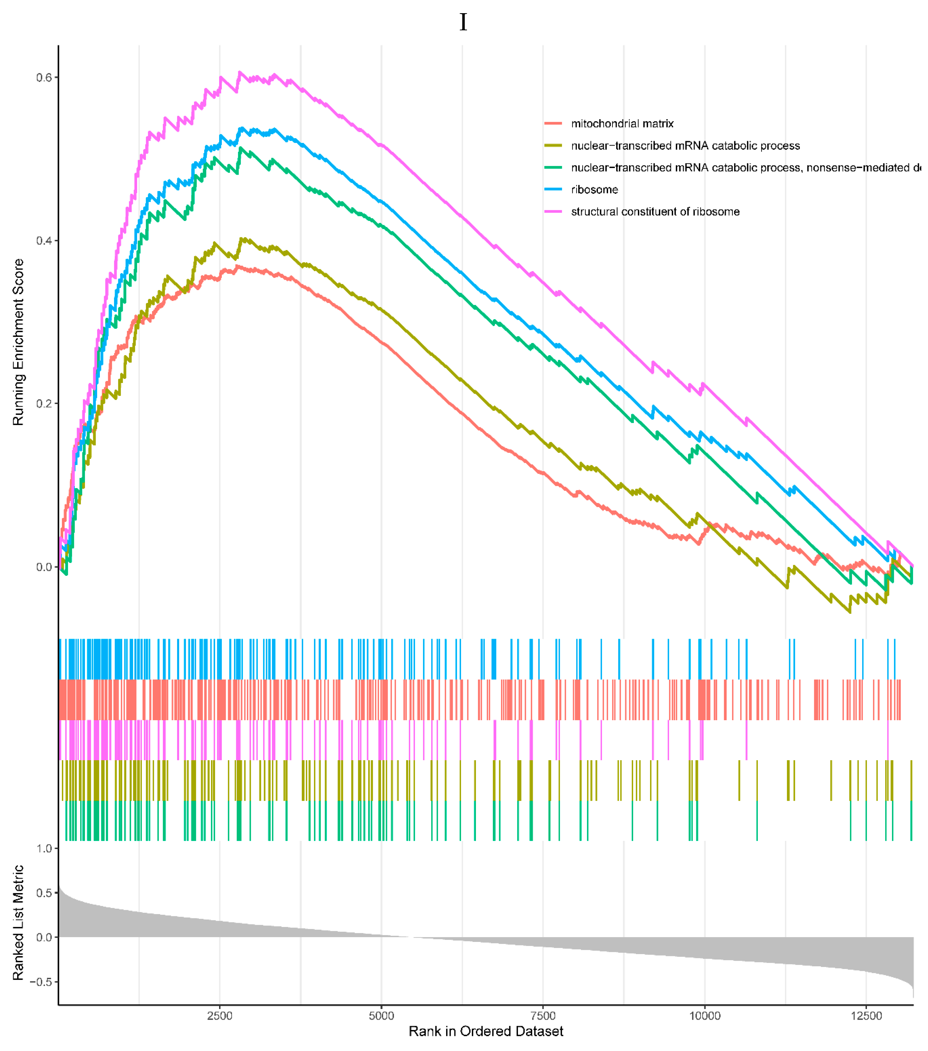 Preprints 80170 g006i