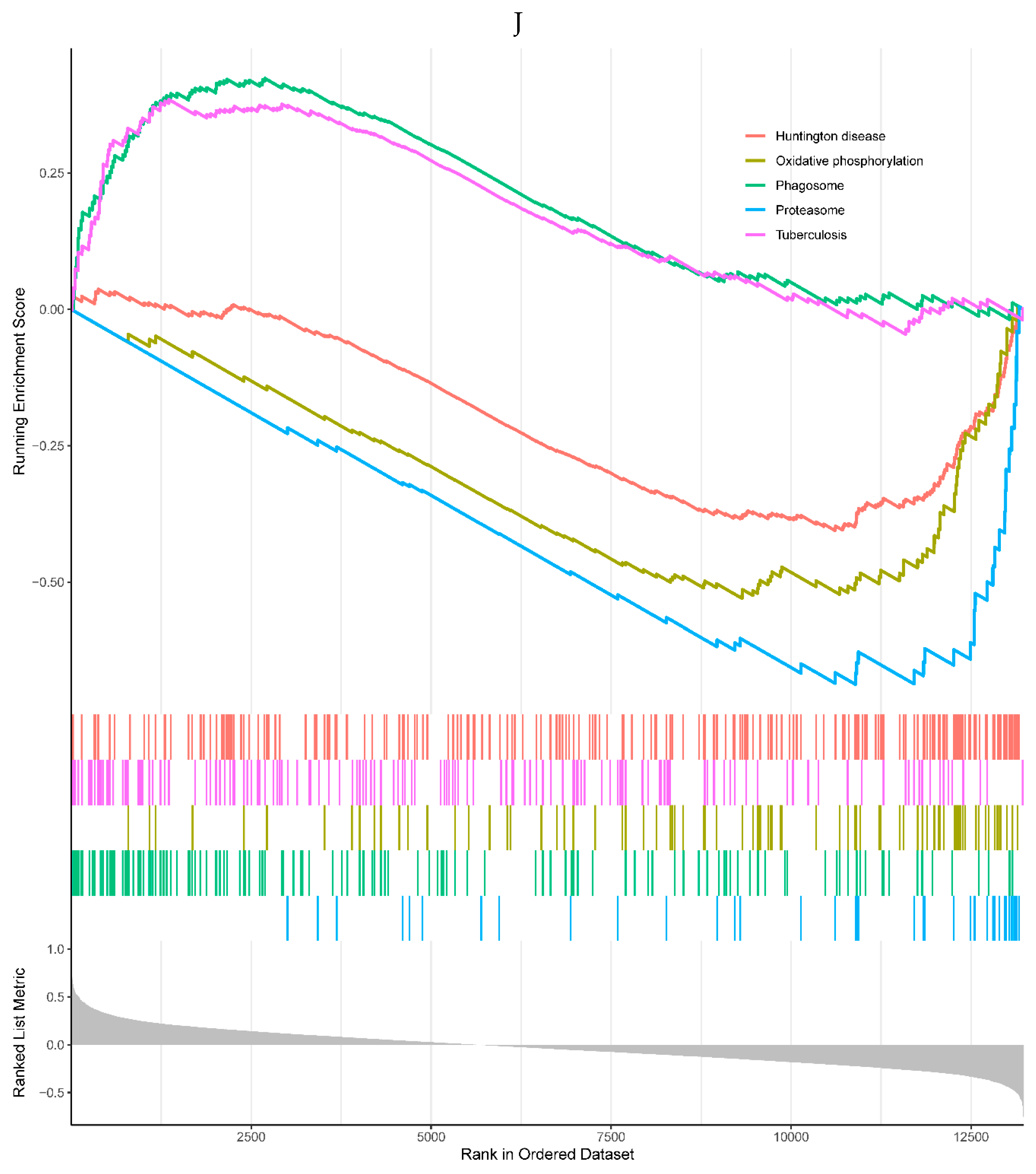 Preprints 80170 g006j