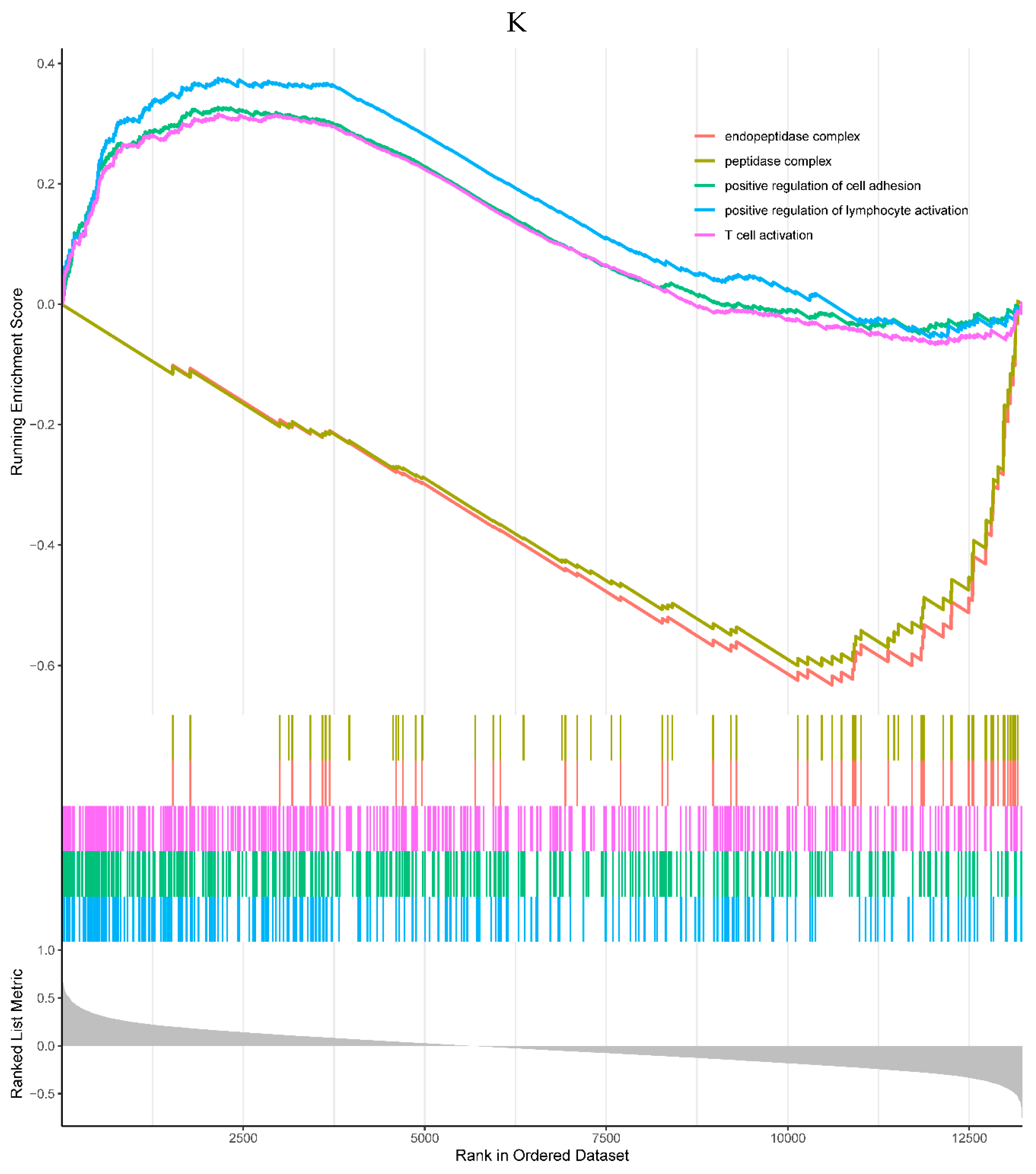 Preprints 80170 g006k