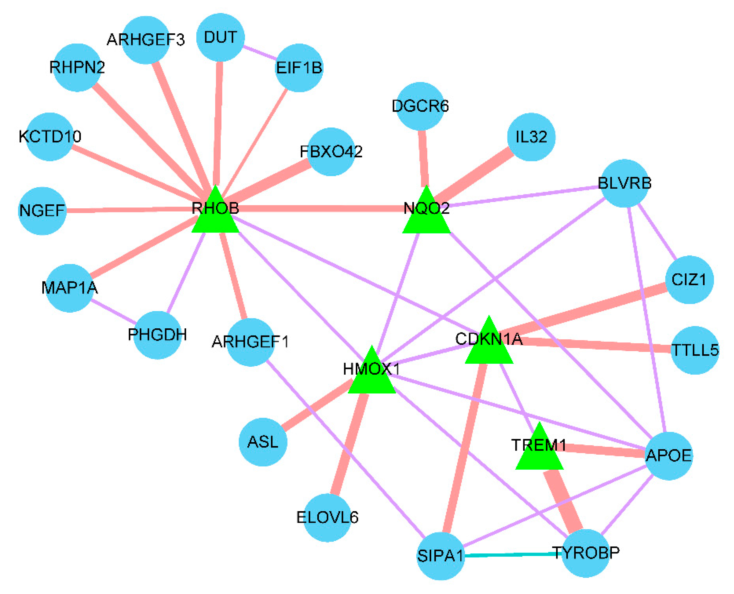 Preprints 80170 g007