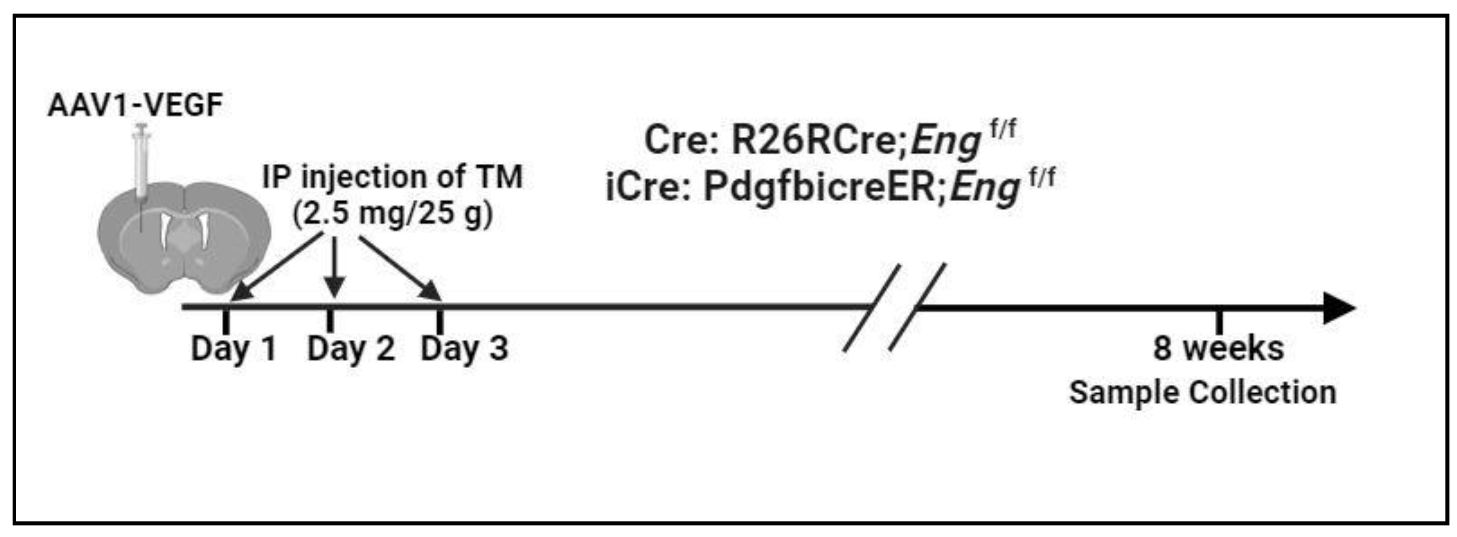 Preprints 110053 g001