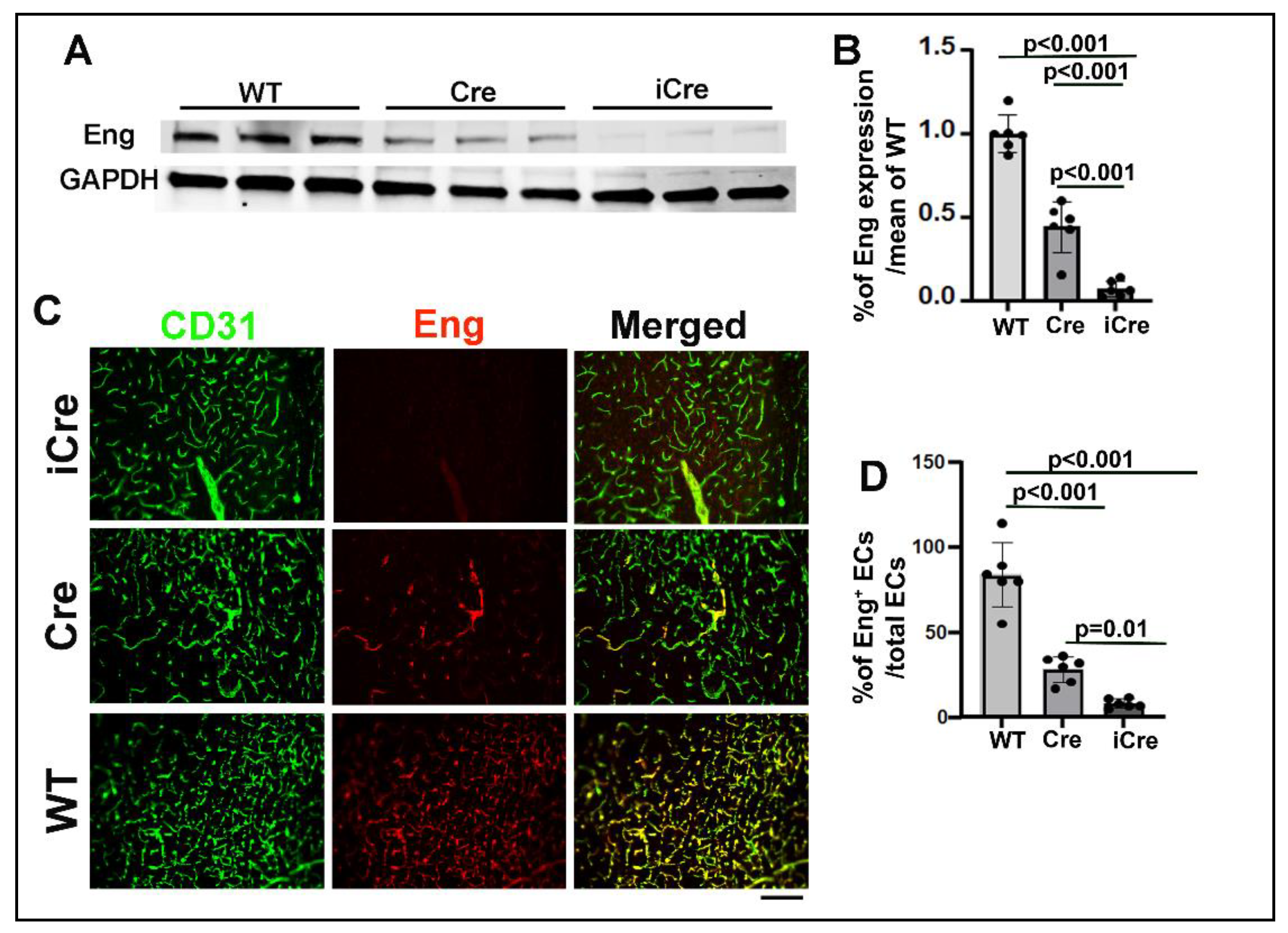 Preprints 110053 g002