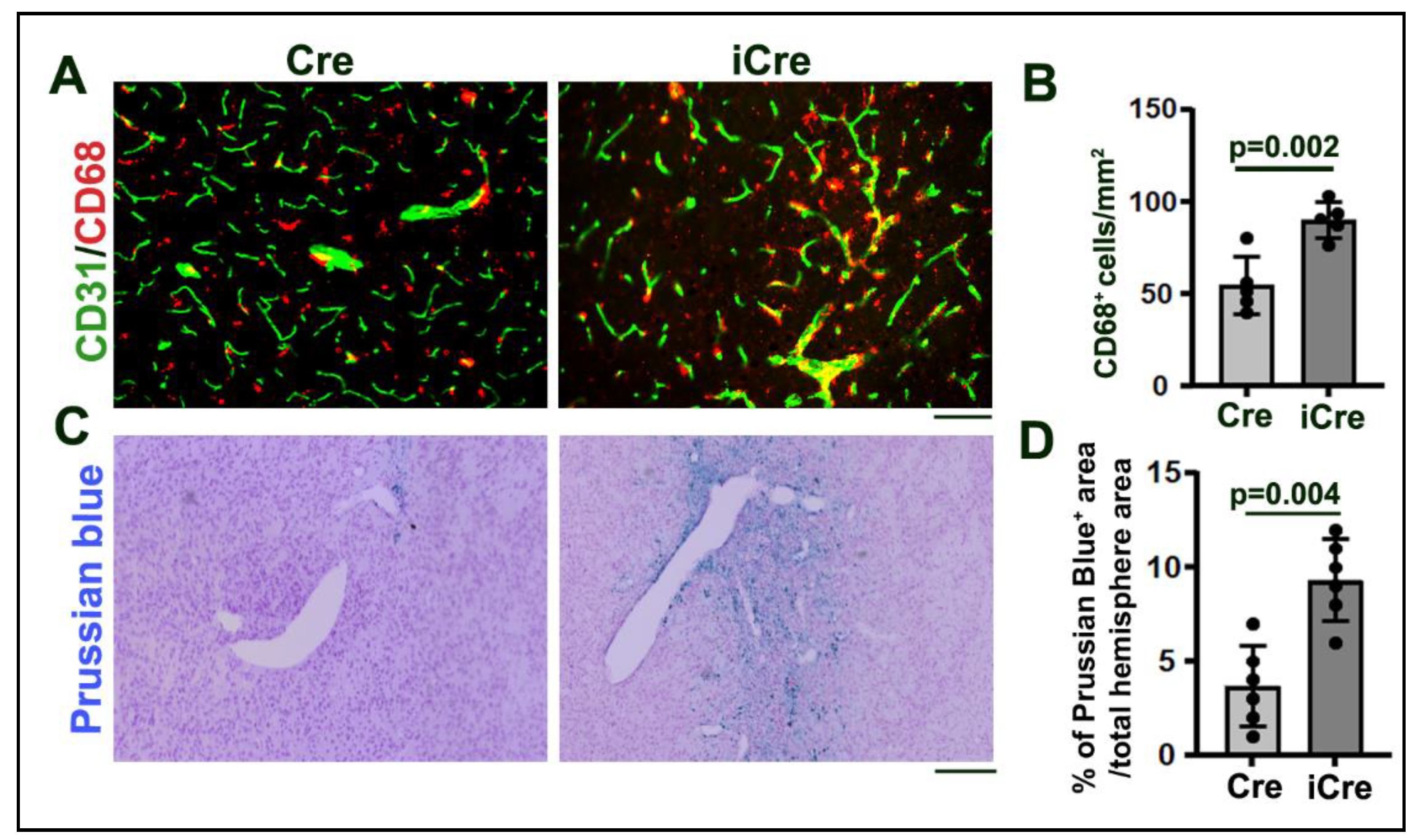 Preprints 110053 g004