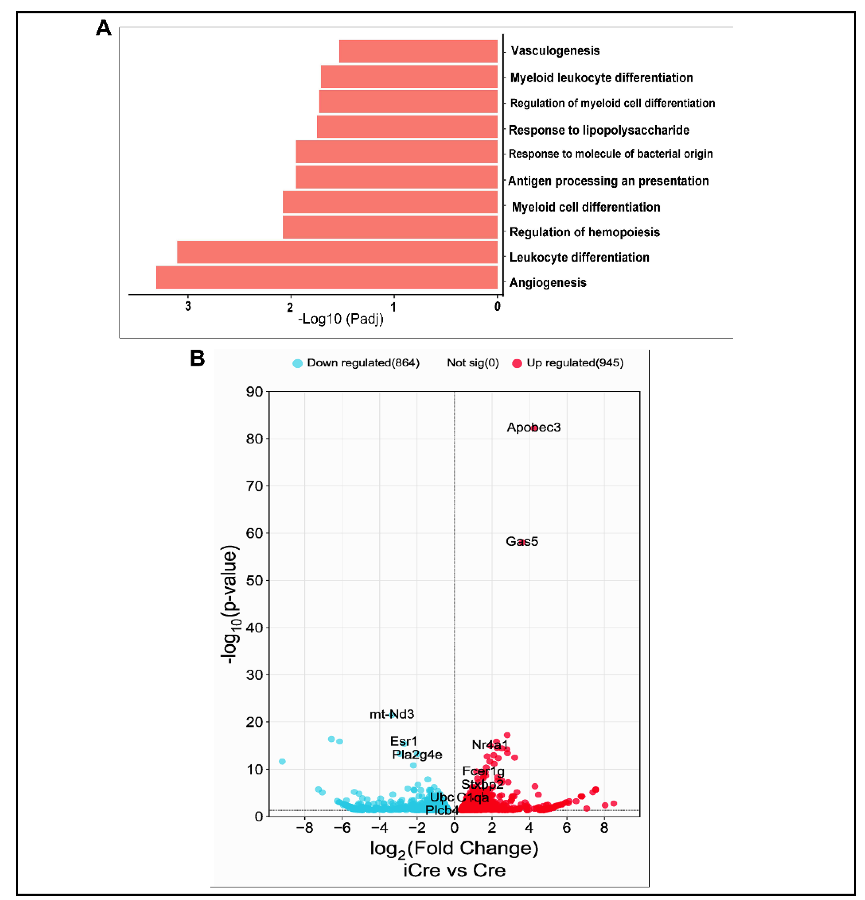 Preprints 110053 g006