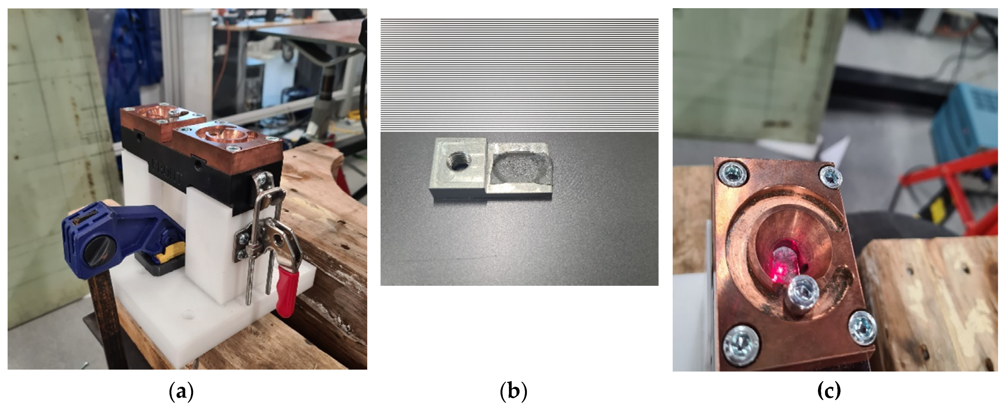 Preprints 74303 g009