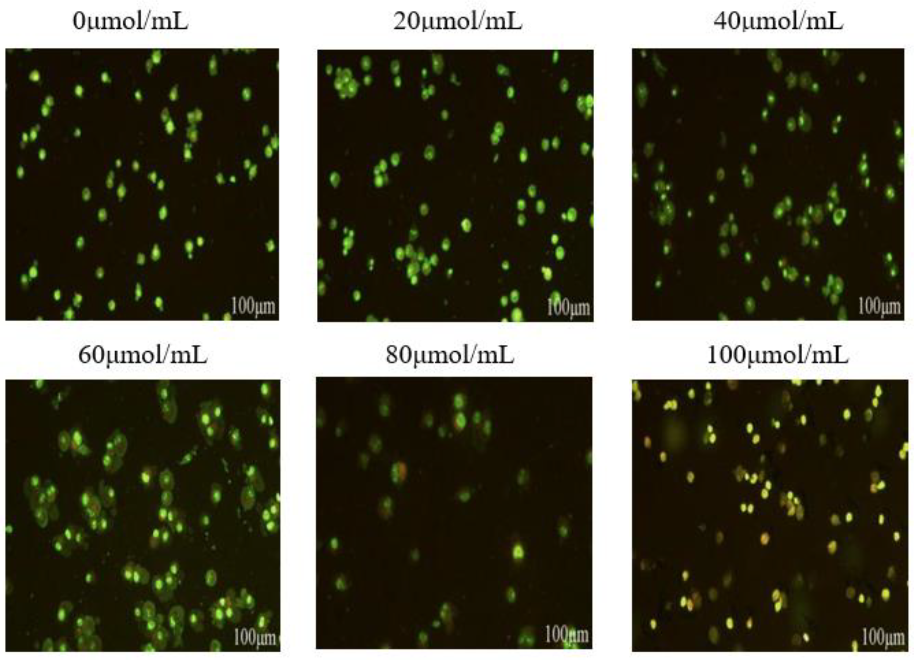 Preprints 114585 g005