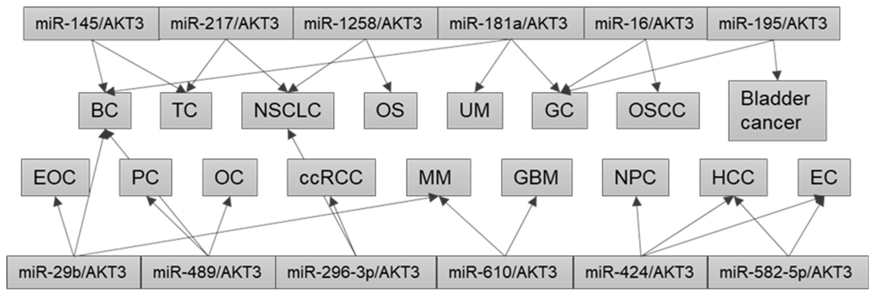 Preprints 88038 g002