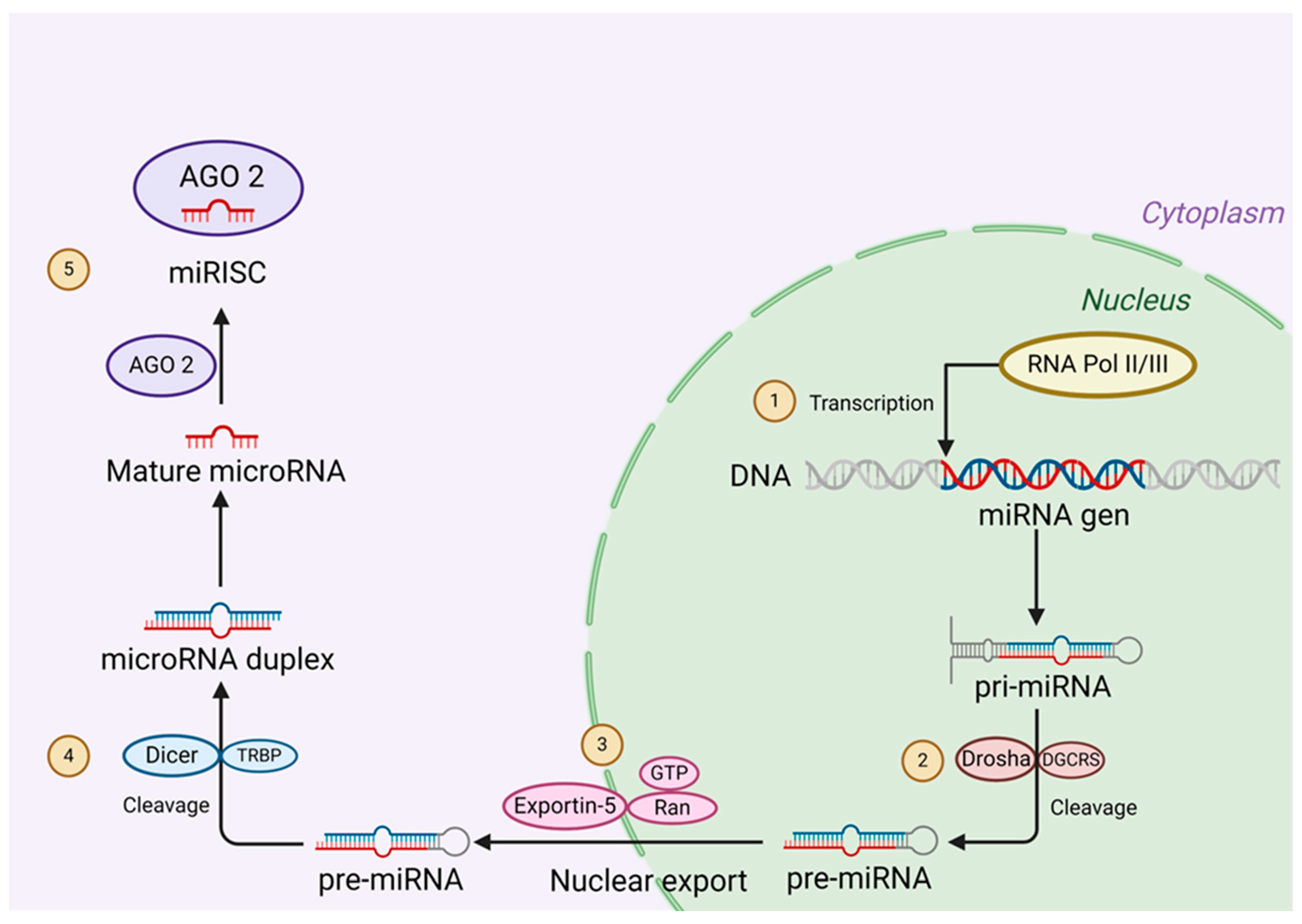 Preprints 113820 g003