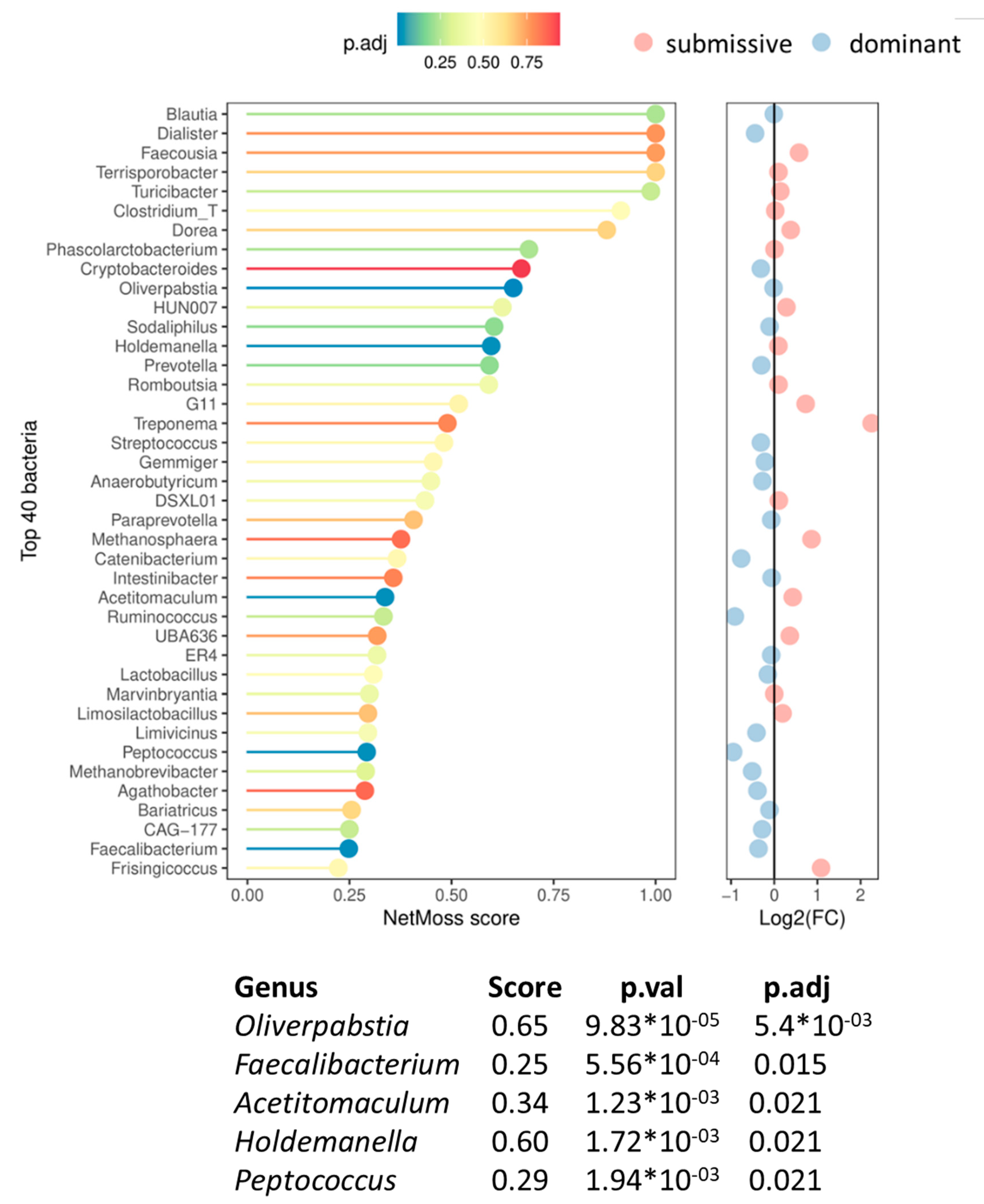 Preprints 107946 g007