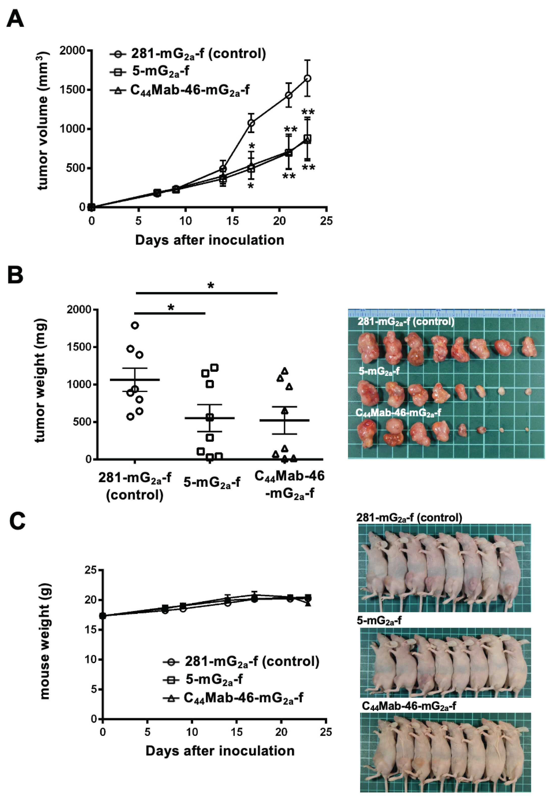 Preprints 102134 g004