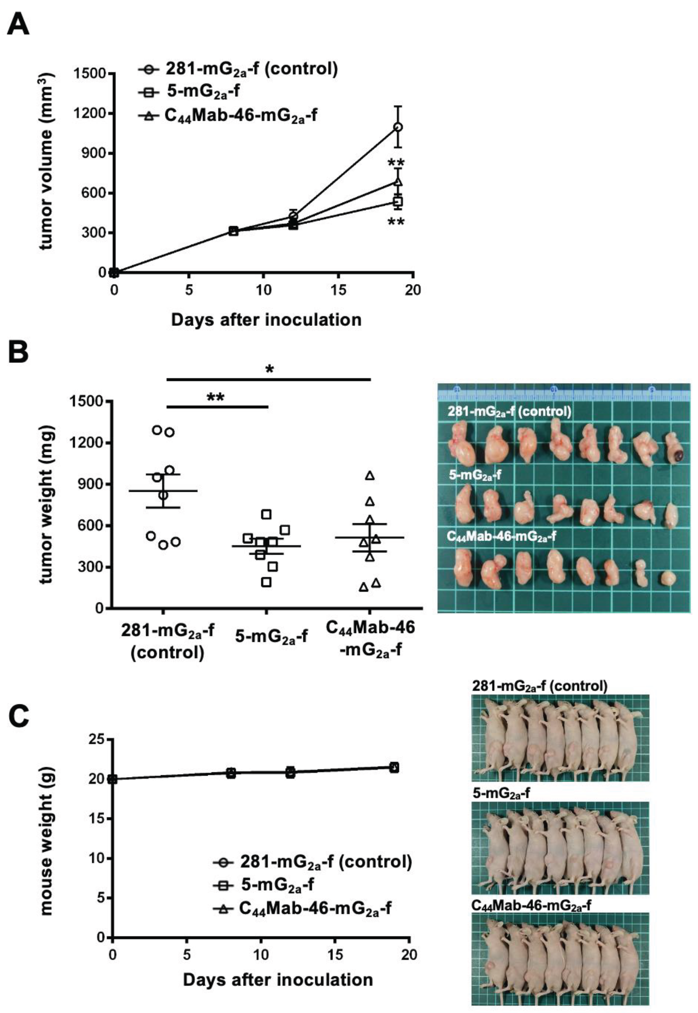 Preprints 102134 g005