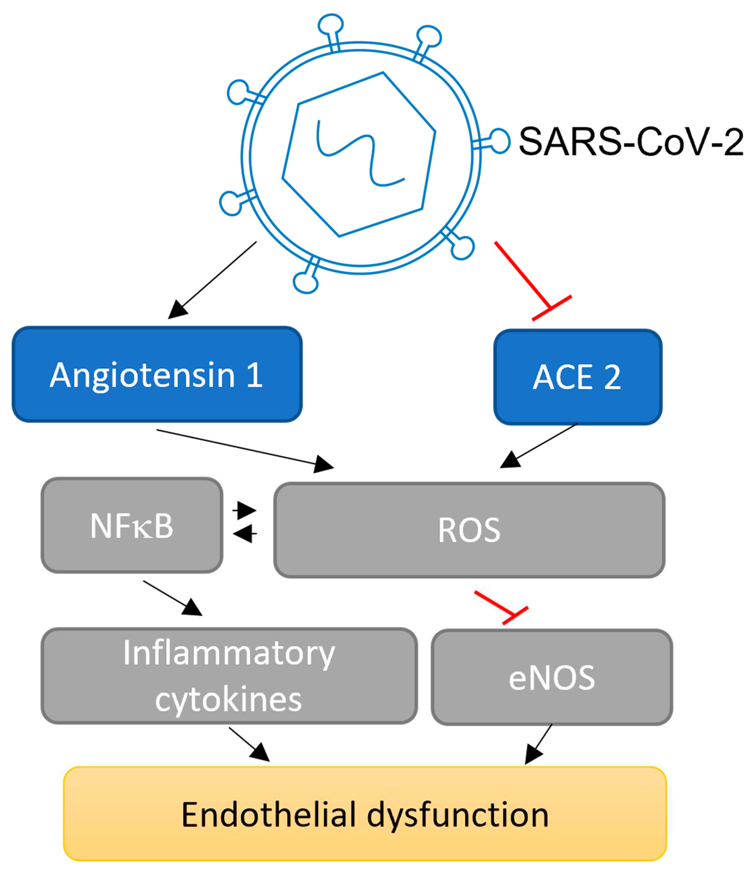 Preprints 98052 g002