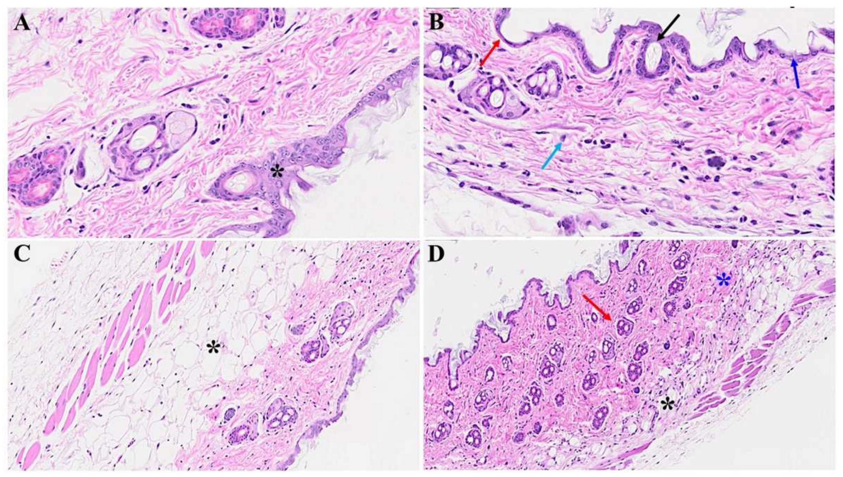 Preprints 94976 g001