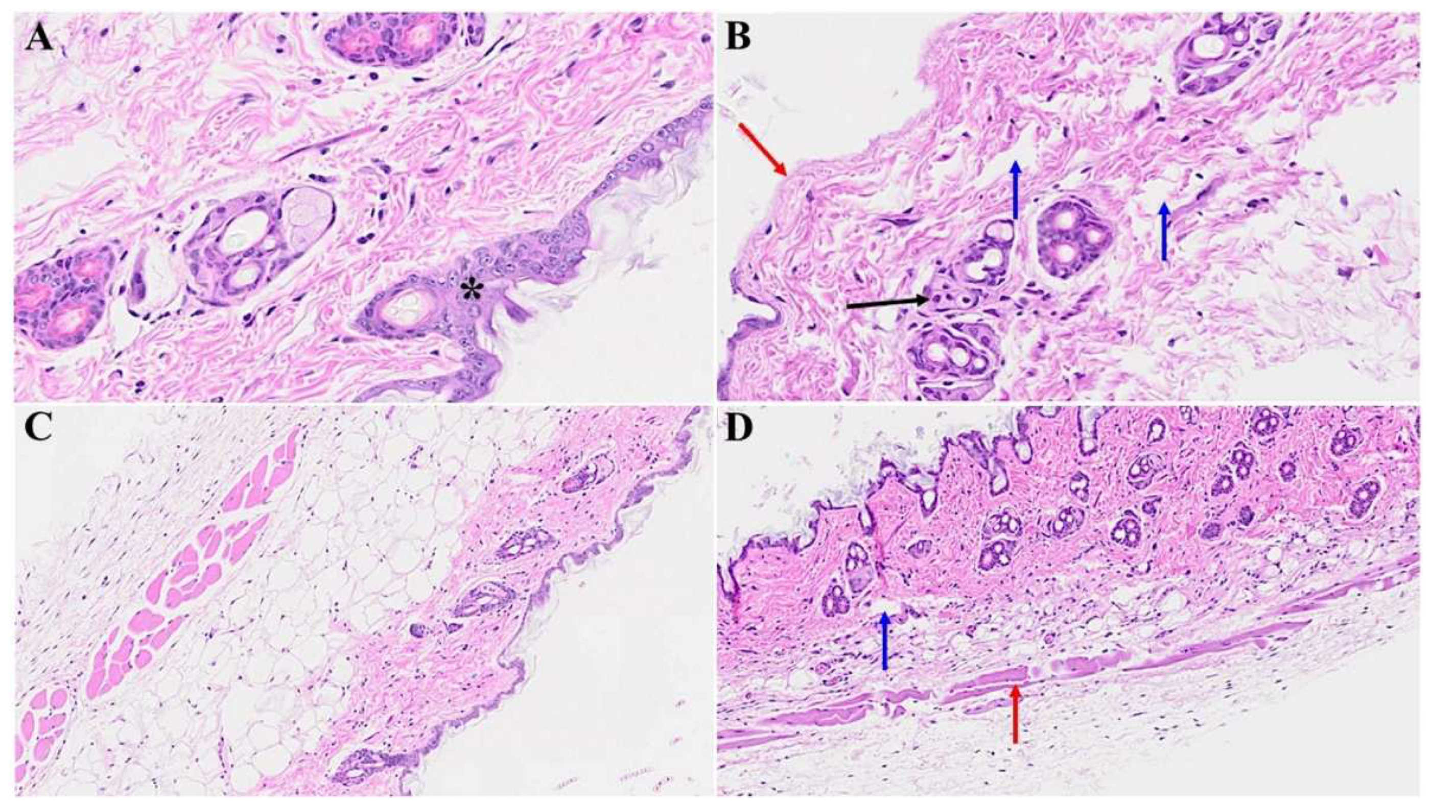 Preprints 94976 g002