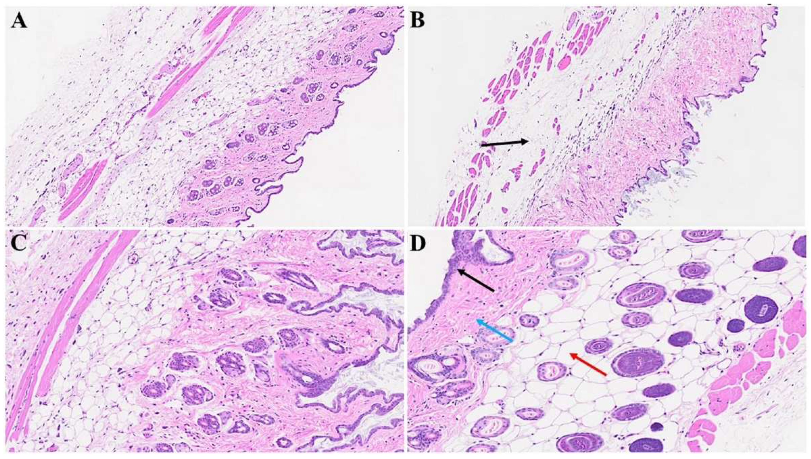 Preprints 94976 g003