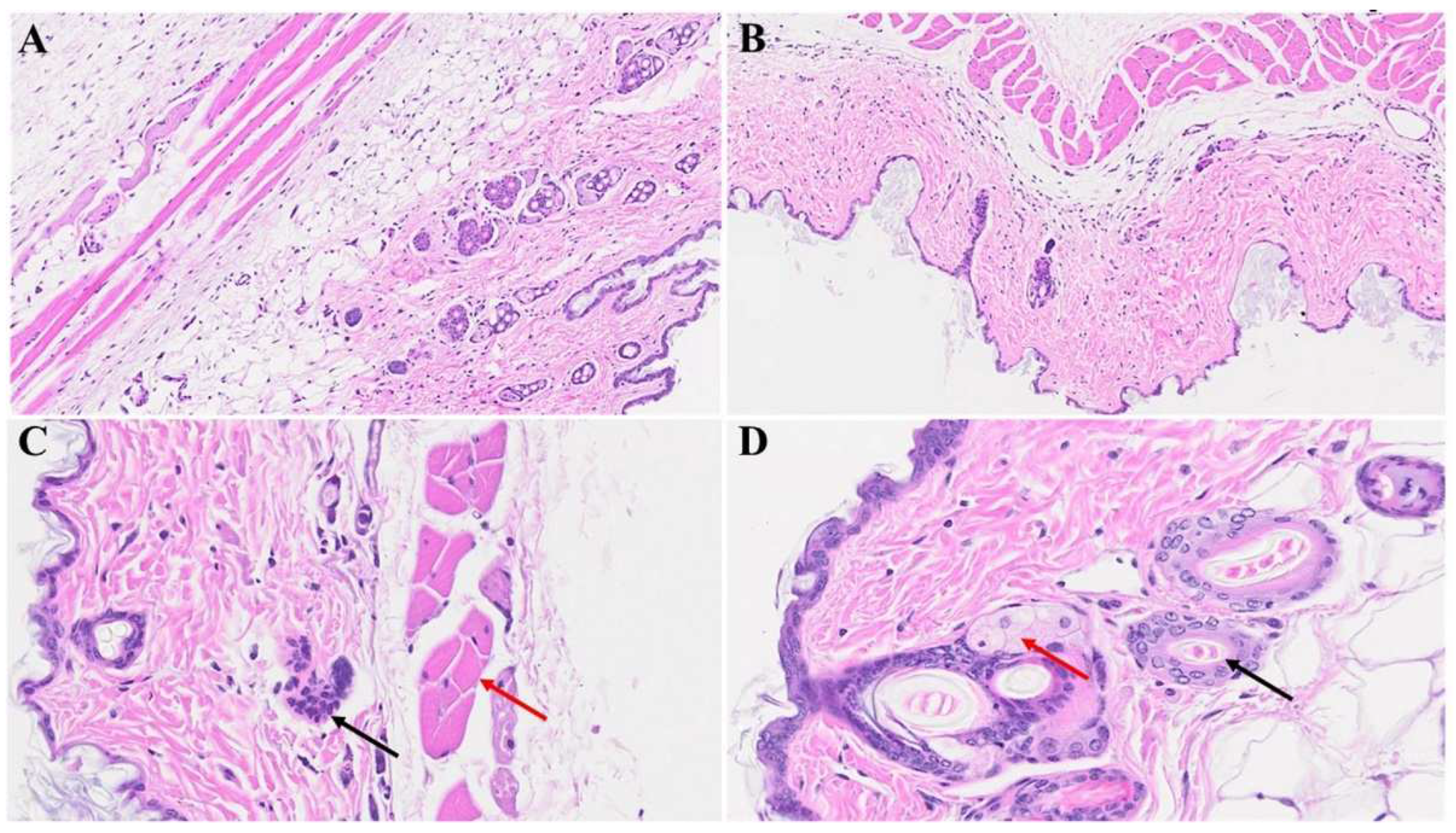 Preprints 94976 g004