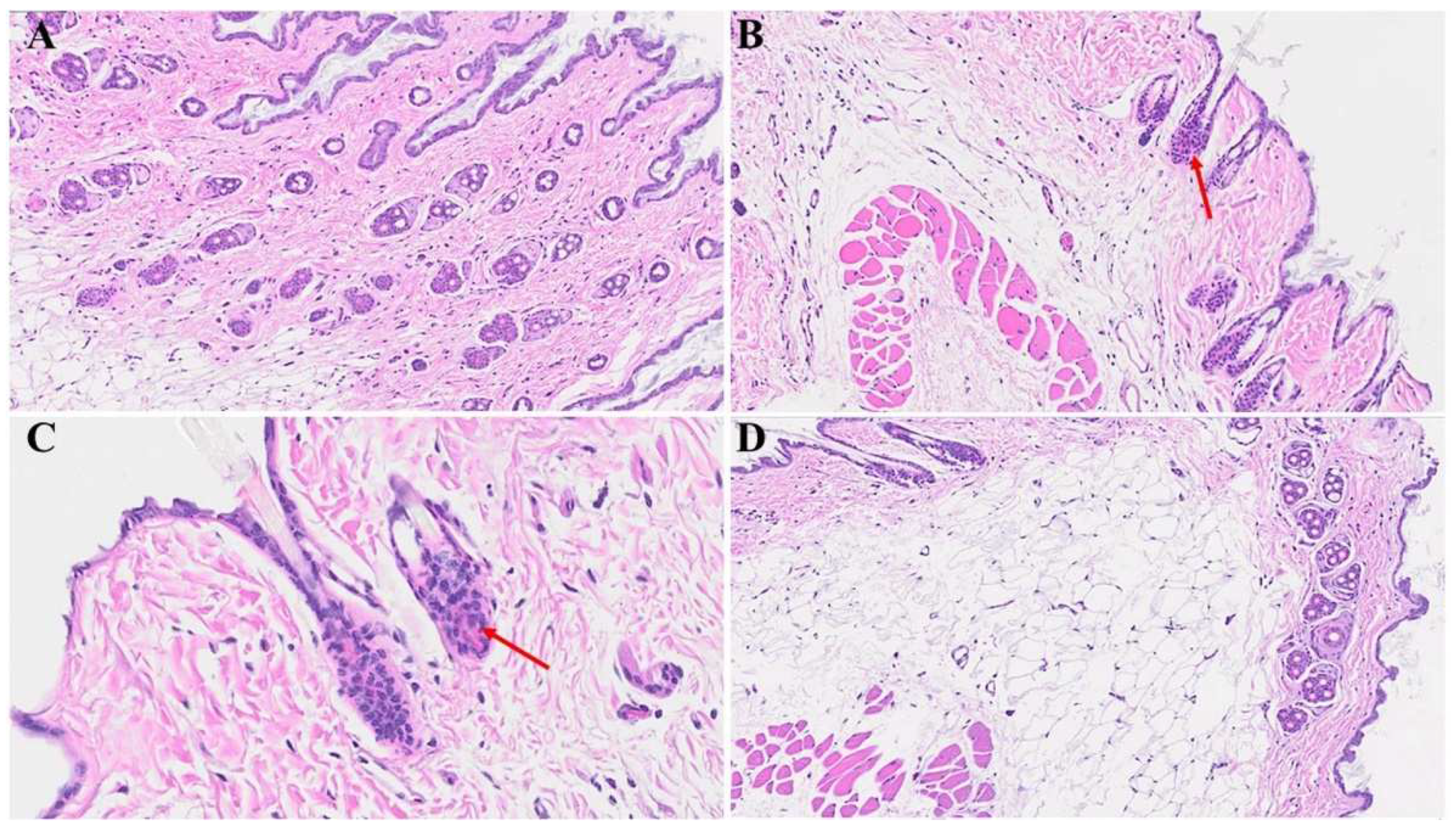 Preprints 94976 g005