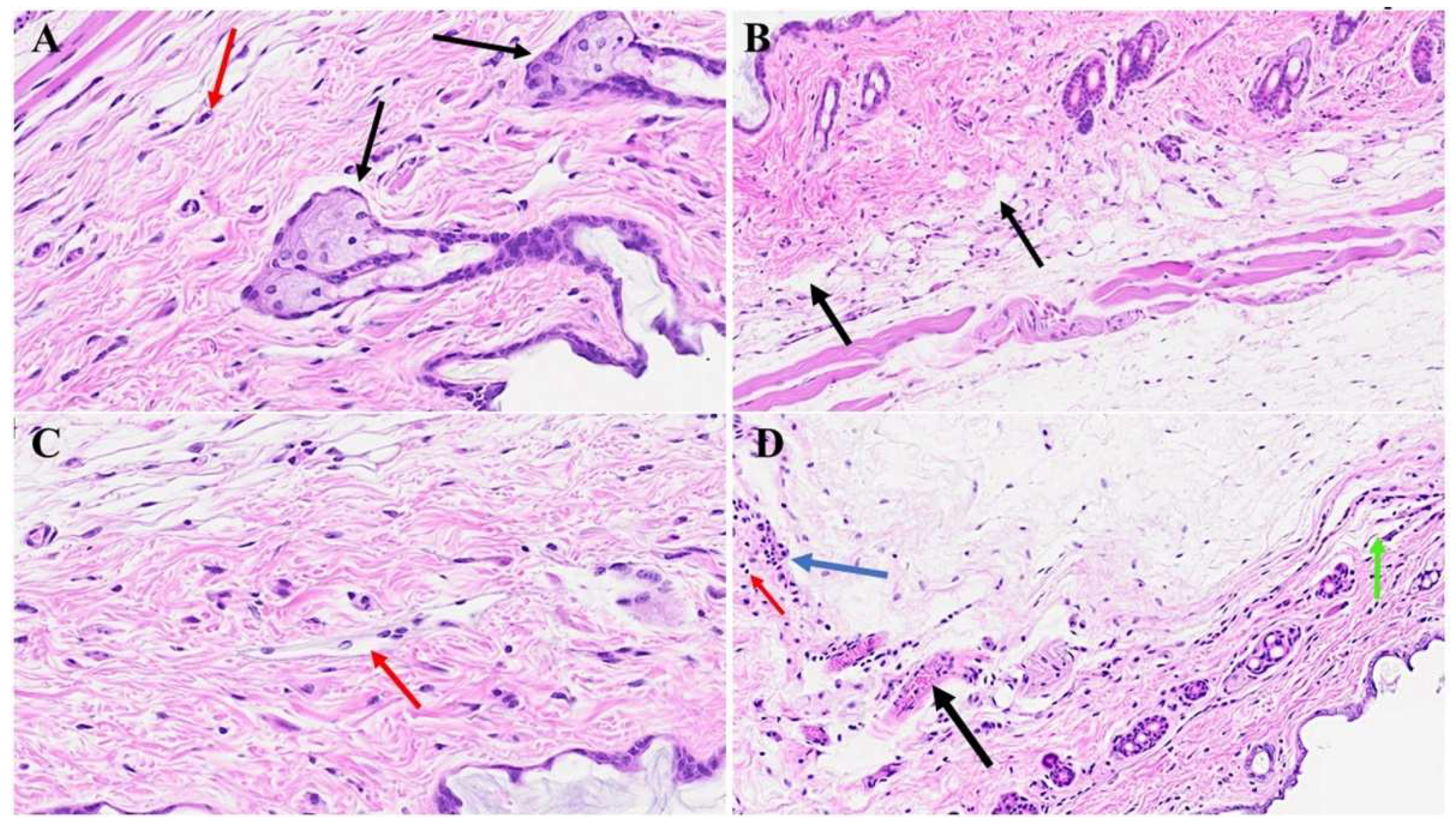 Preprints 94976 g007