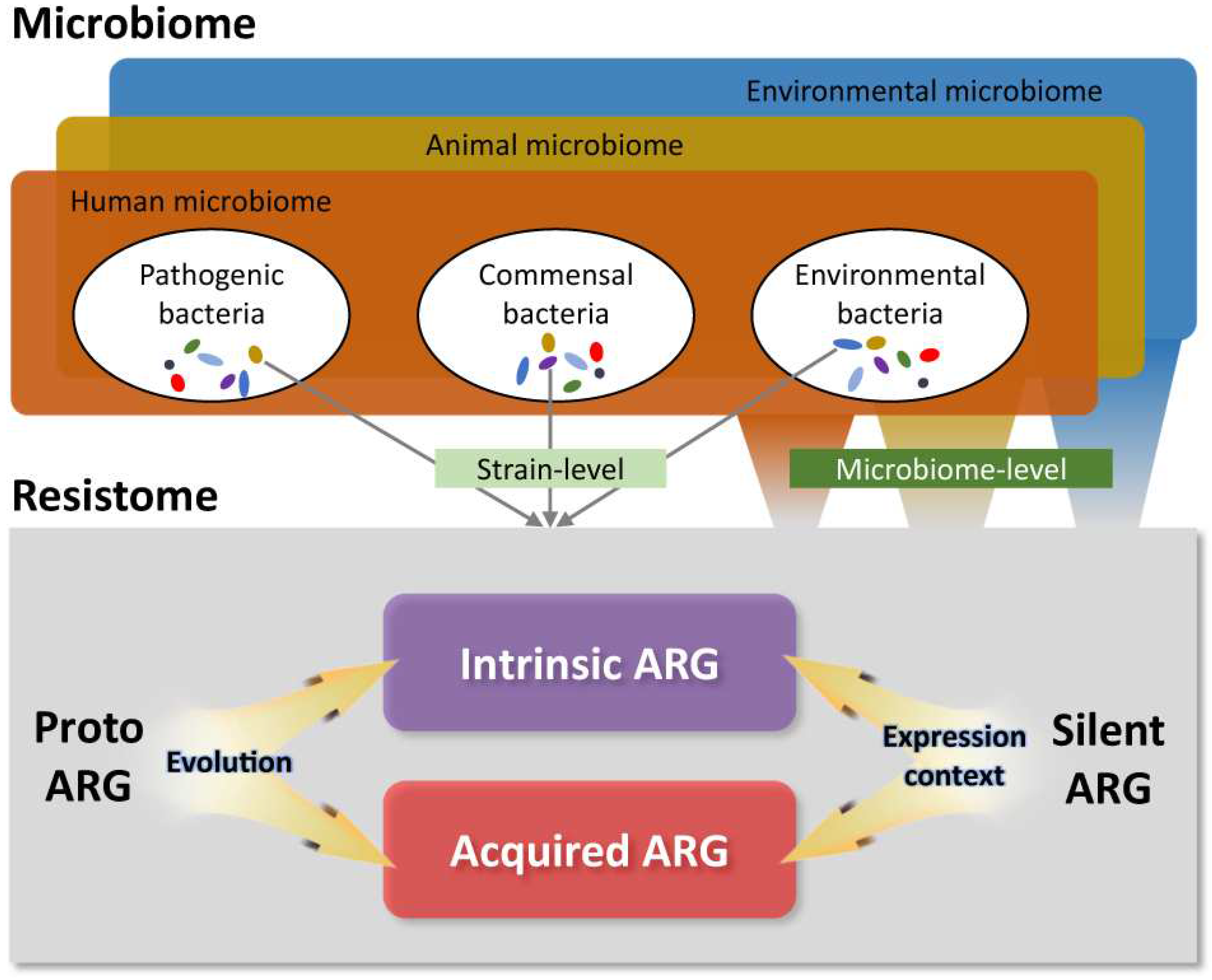 Preprints 94353 g002