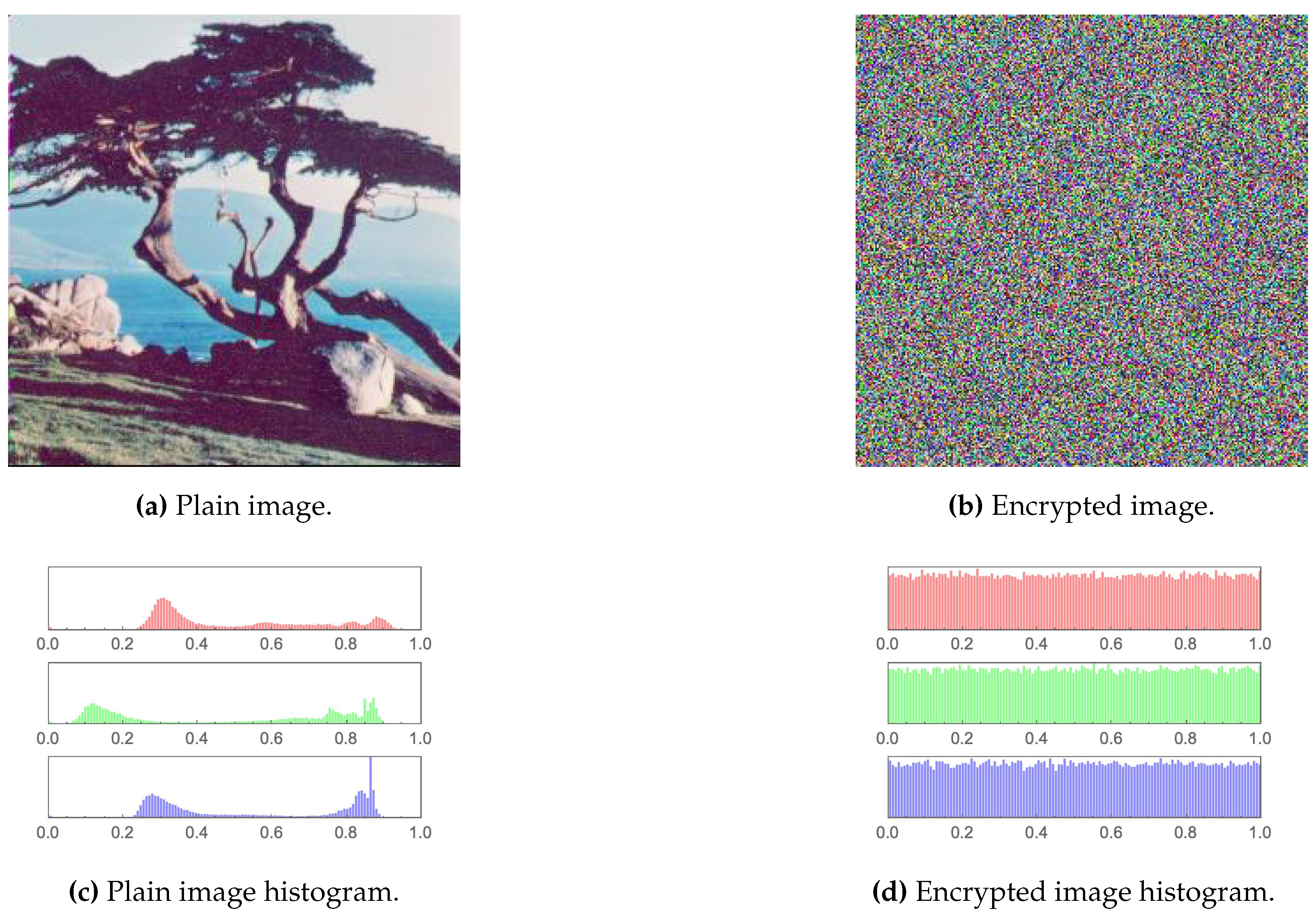 Preprints 70709 g011