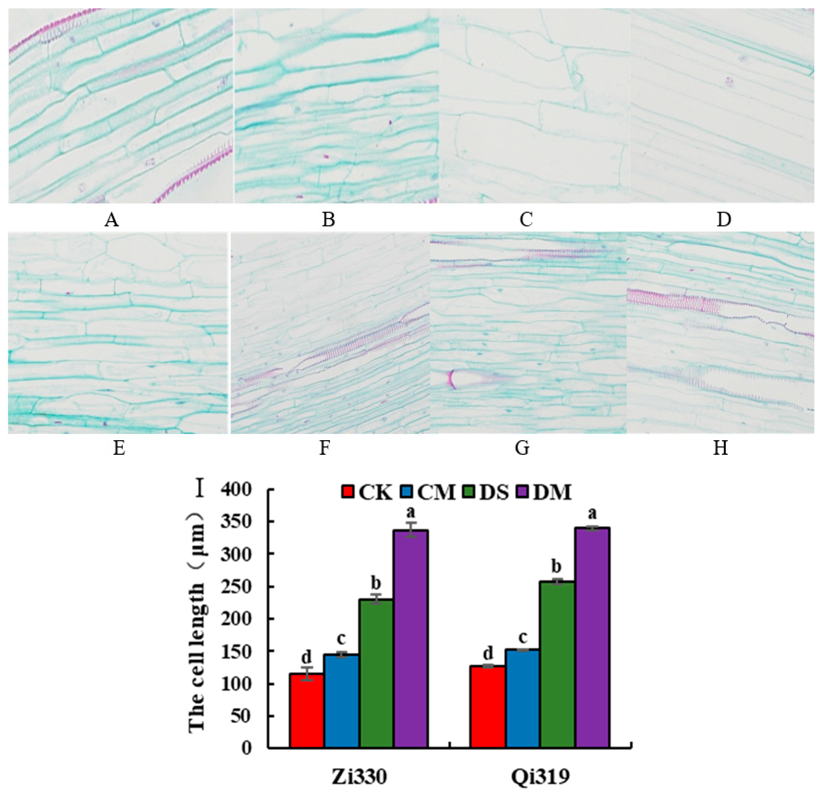 Preprints 117783 g002