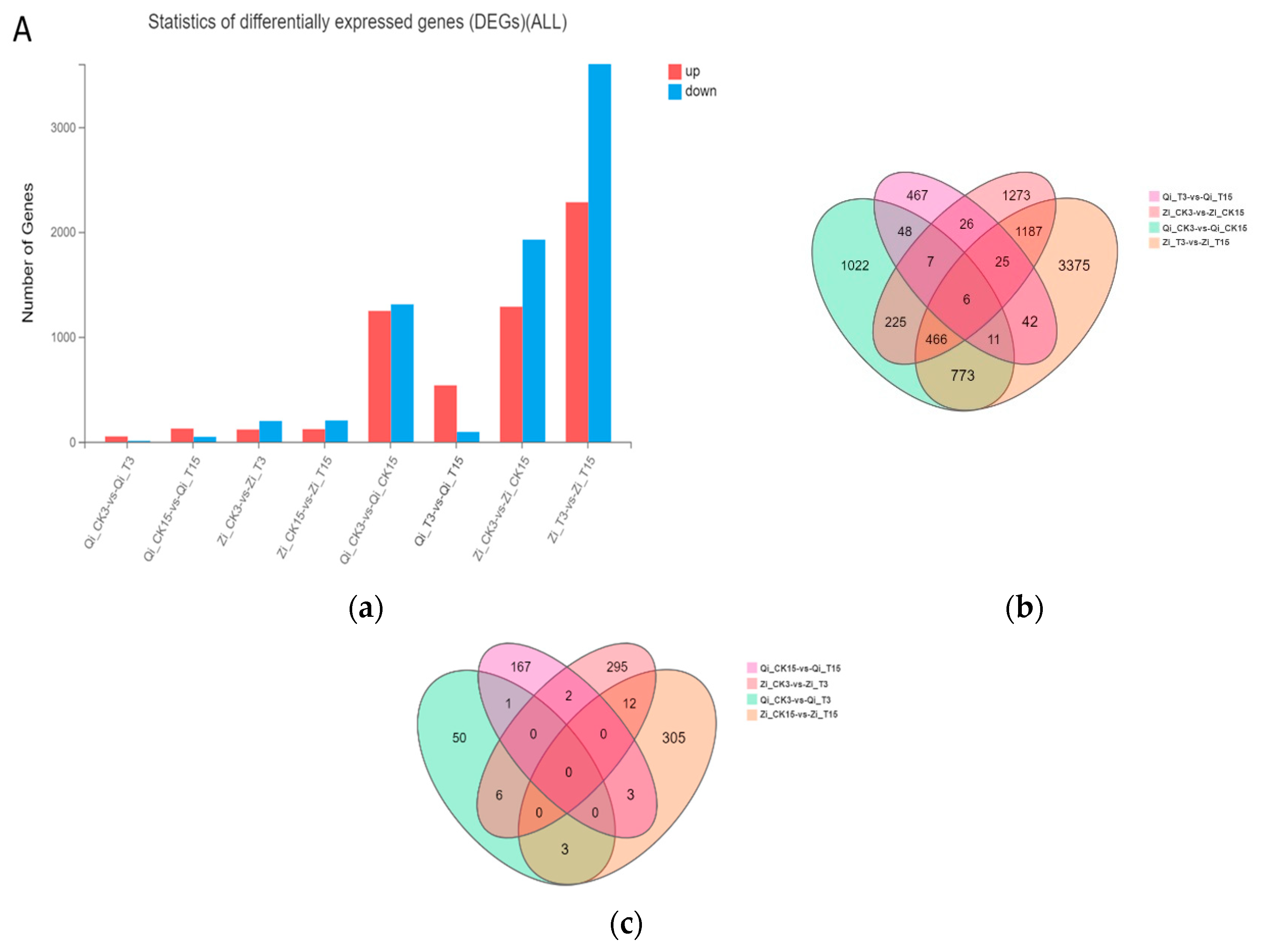 Preprints 117783 g003