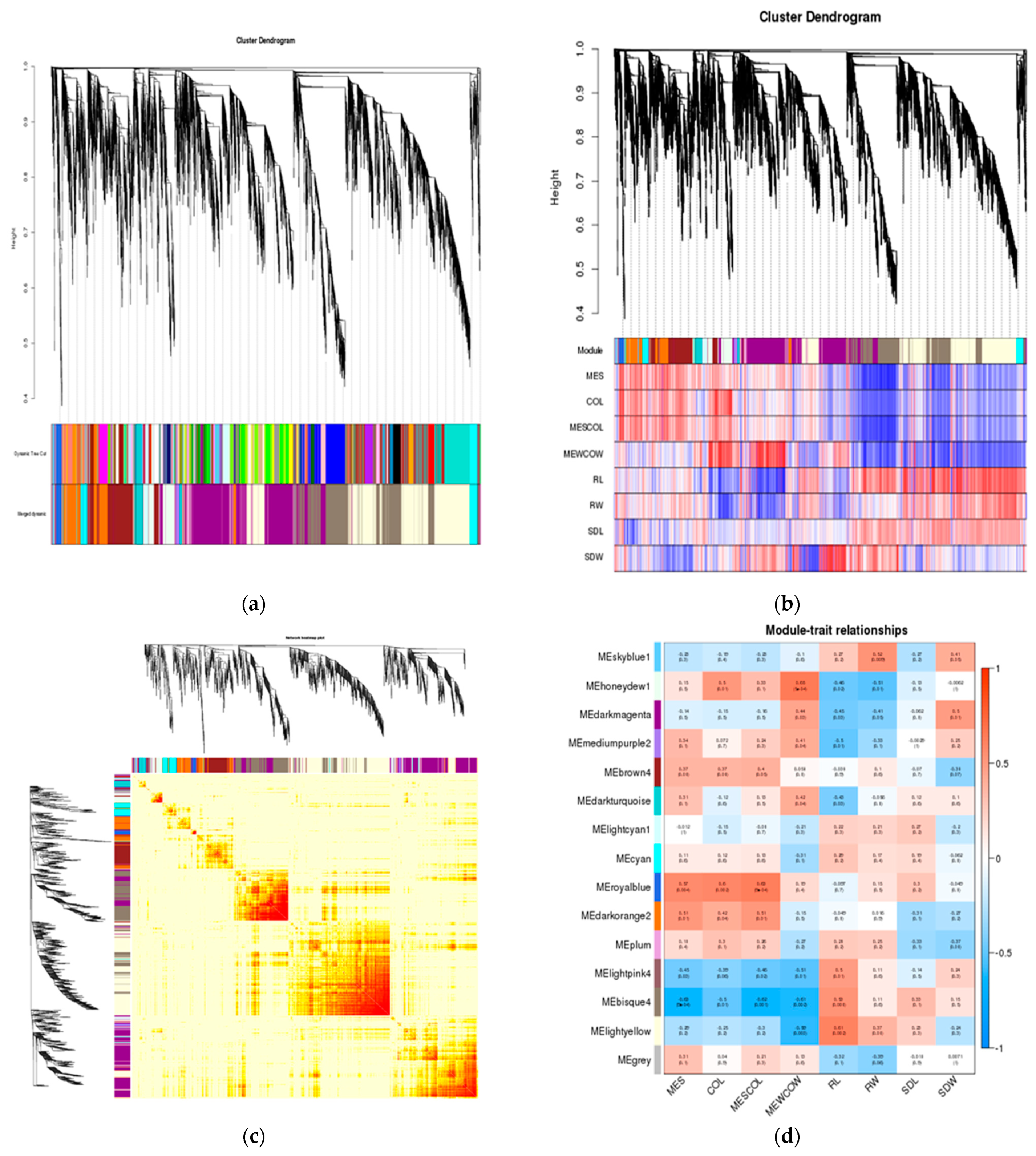 Preprints 117783 g008