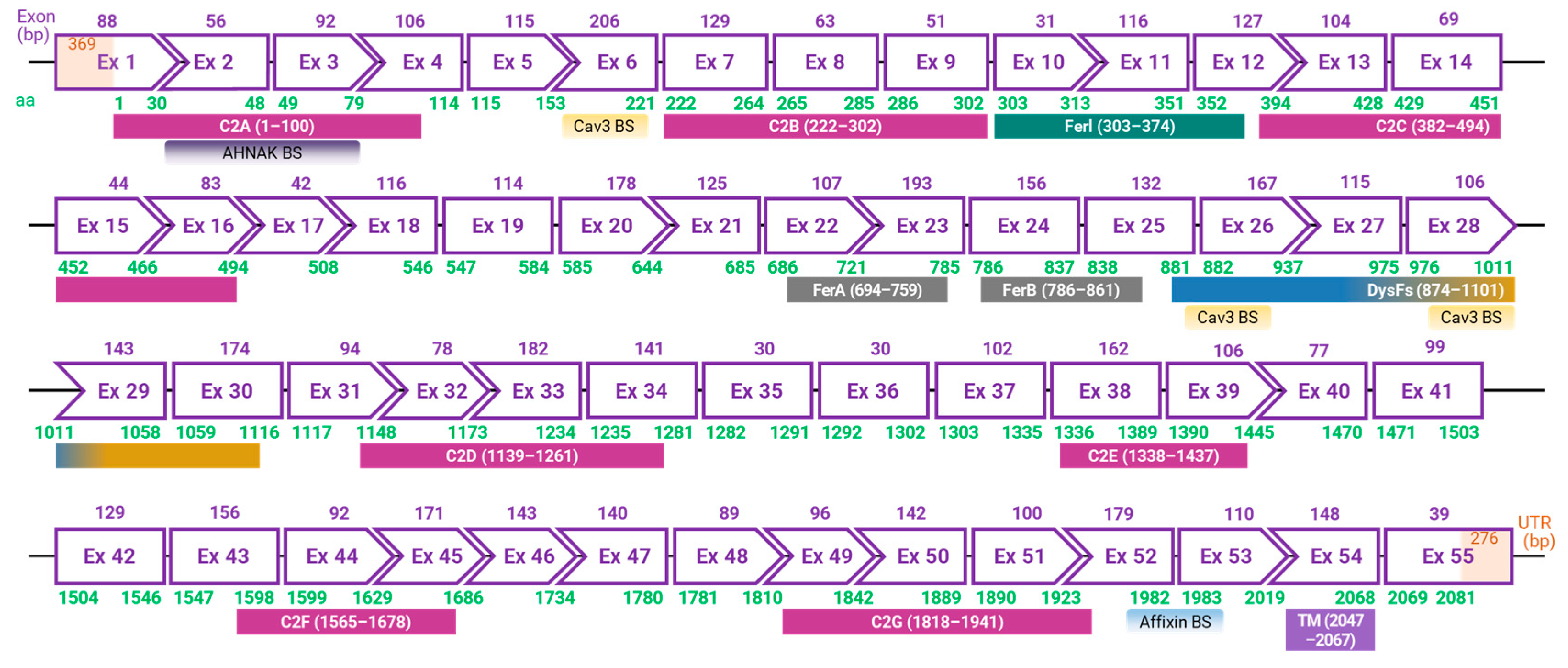 Preprints 90325 g001