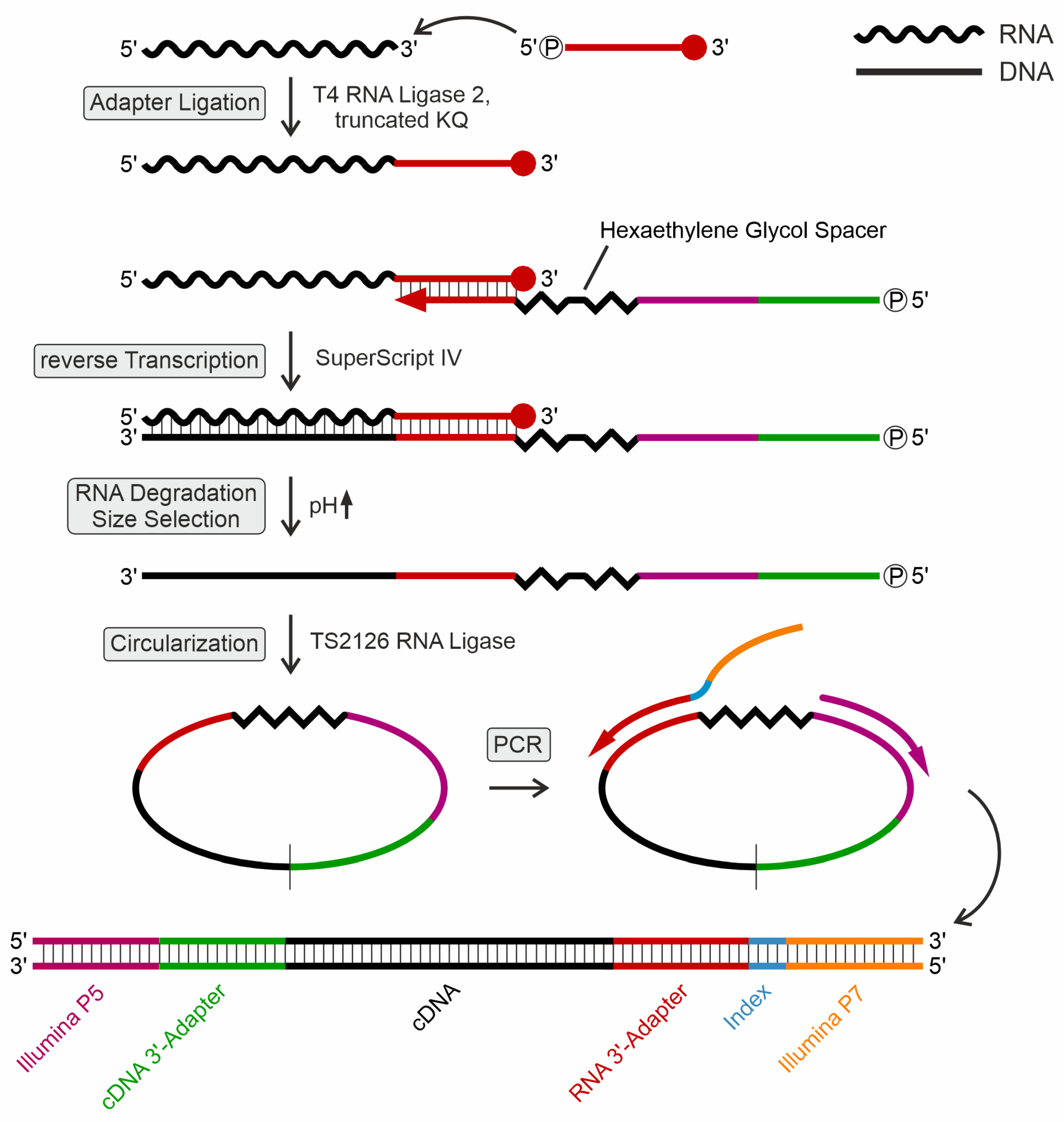 Preprints 111986 g001