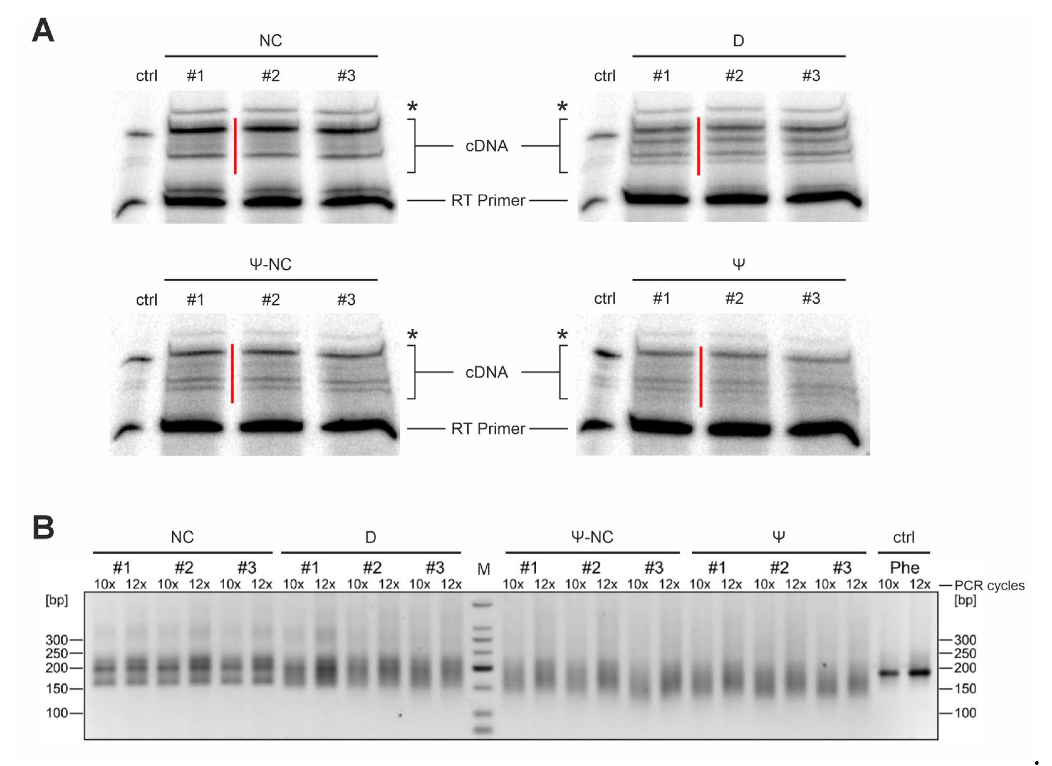 Preprints 111986 g002