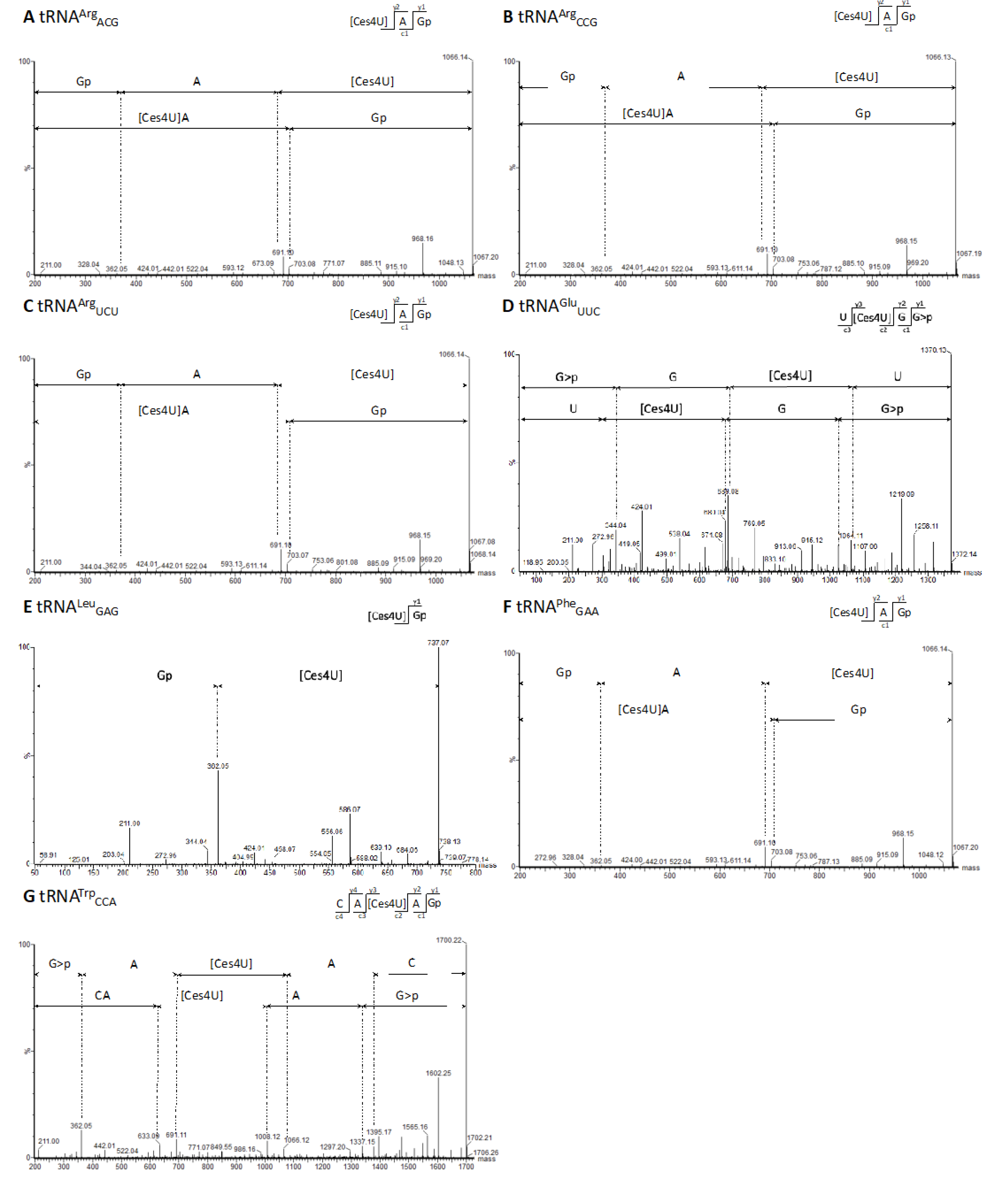 Preprints 111986 g004