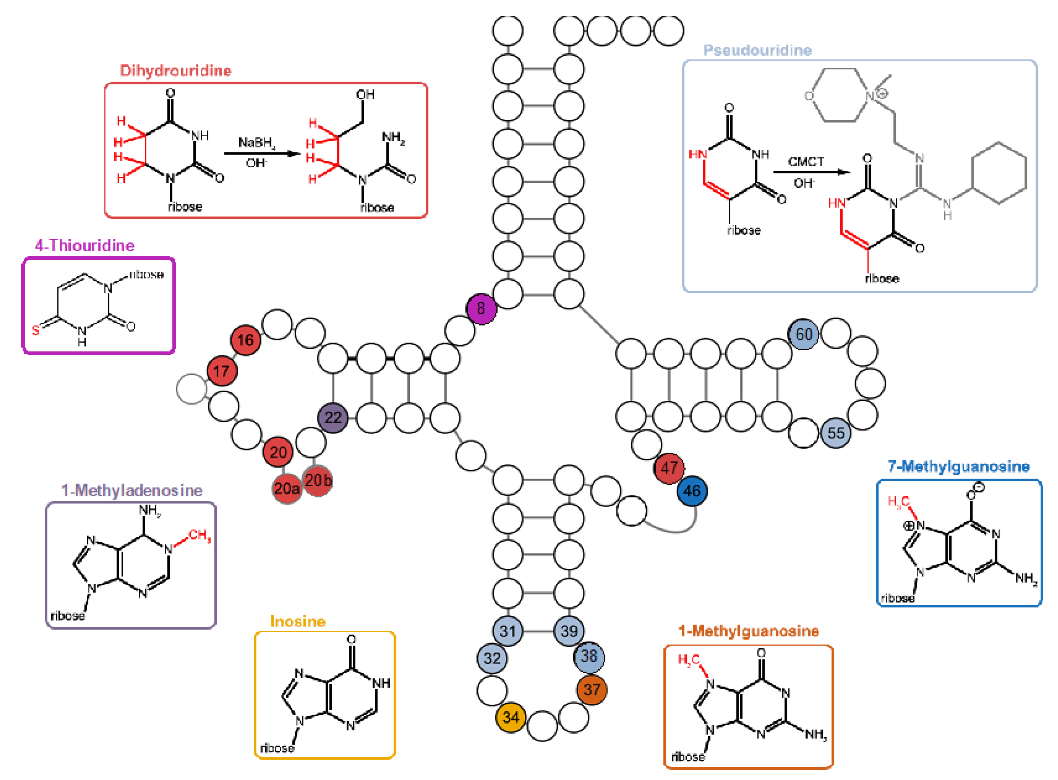 Preprints 111986 g005