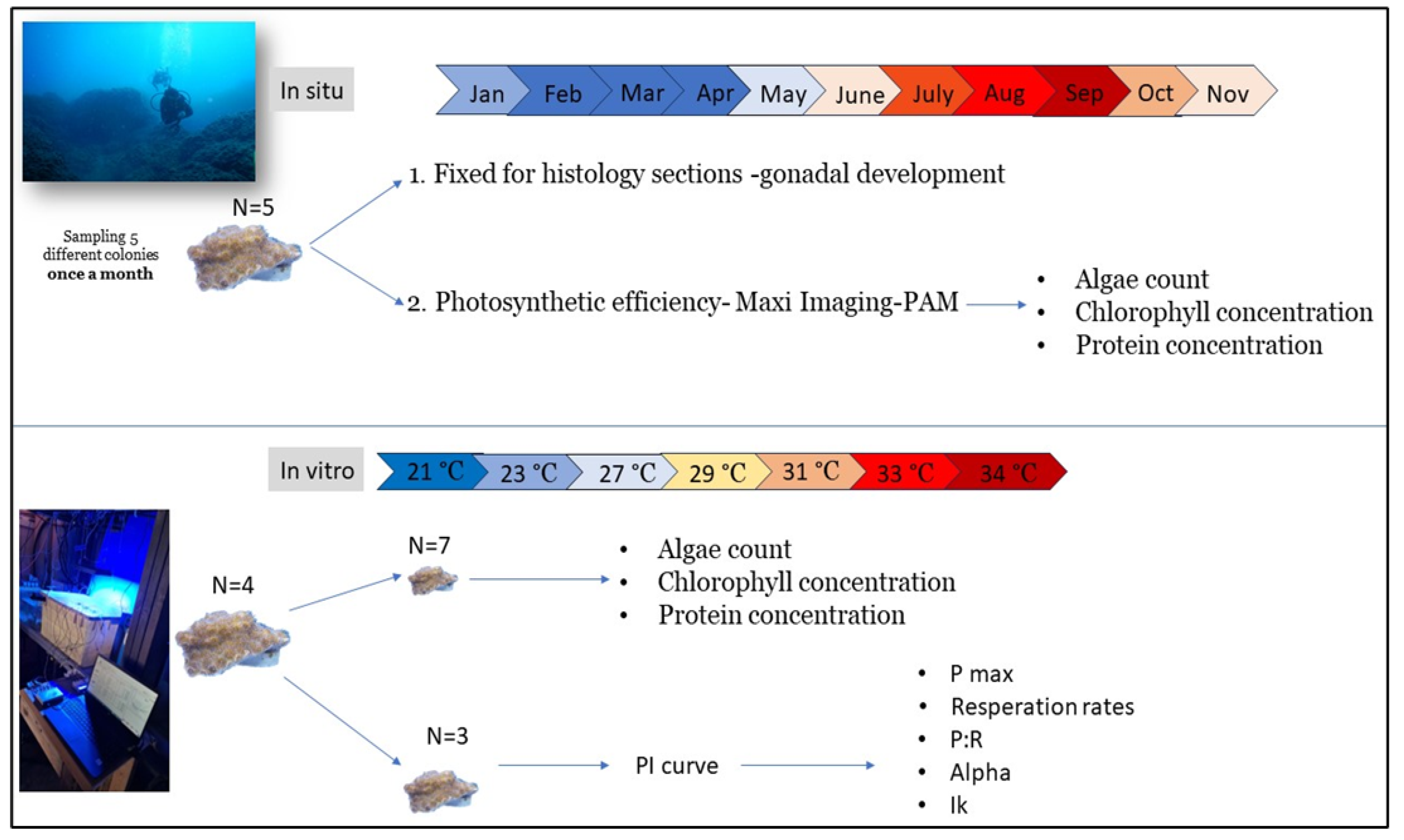 Preprints 107098 g002